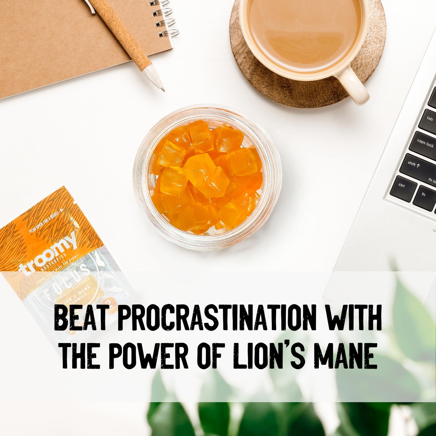 Troomy Nootropics Lion's Mane Focus Gummies, 30 Count