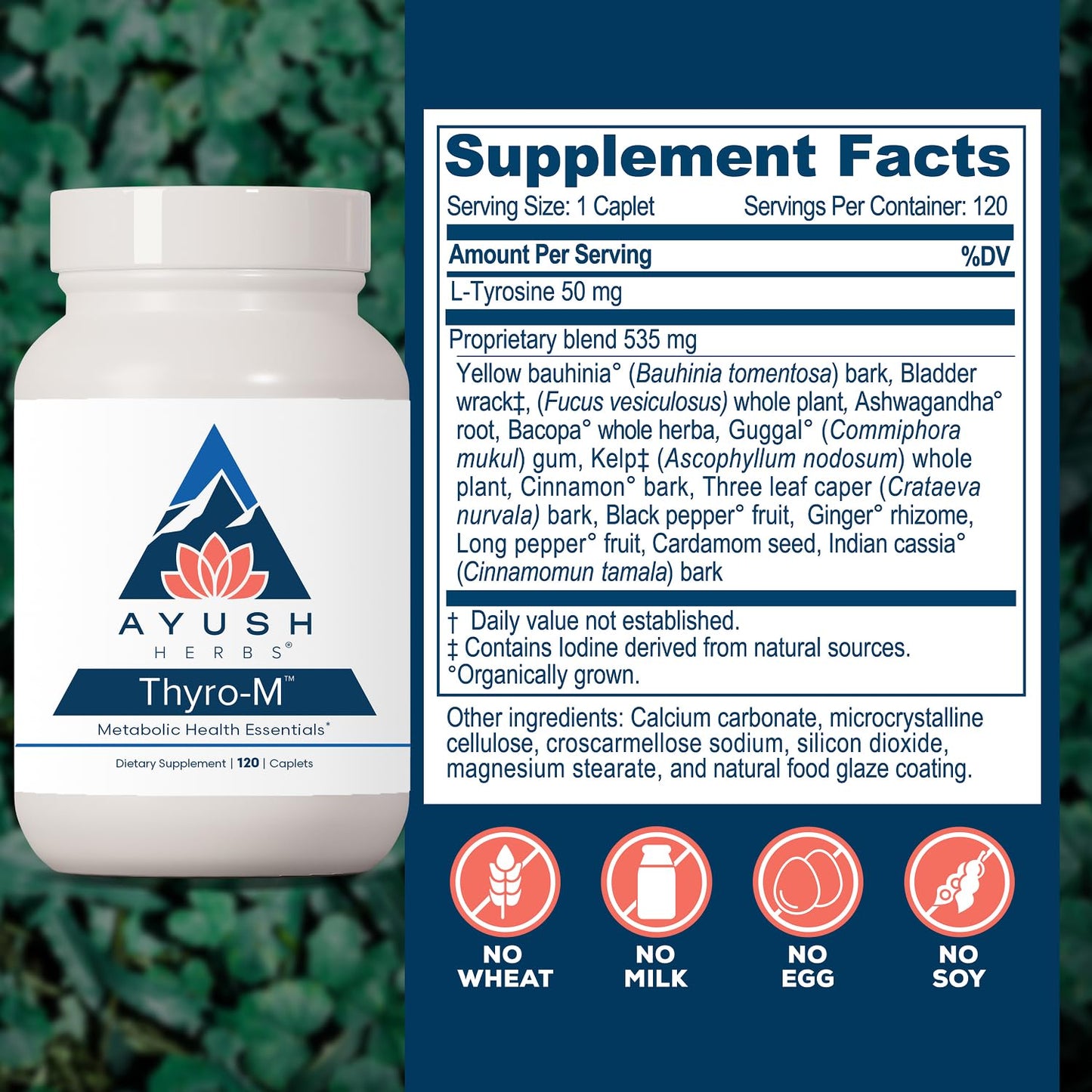 Ayush Herbs Thyro-M Thyroid Support for Women & Men Tablets, 120