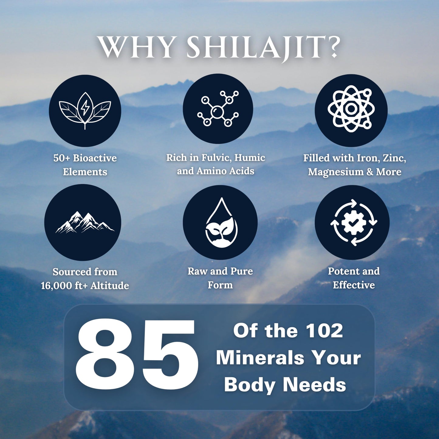 Super Natural Goods Pure Shilajit Resin Dry Drops Tablets 60 Count