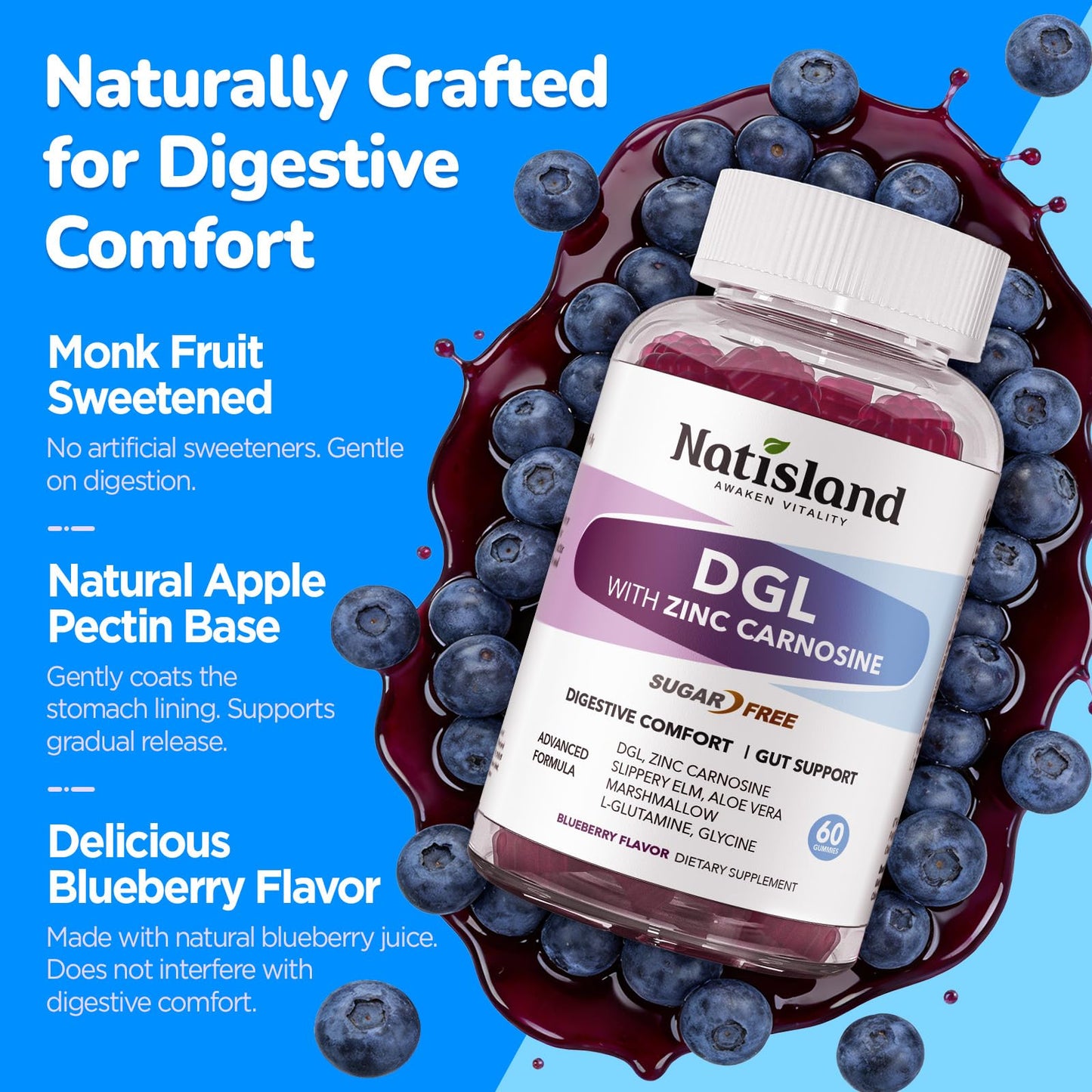 NATISLAND DGL & Zinc Carnosine Gummies, 60 Count