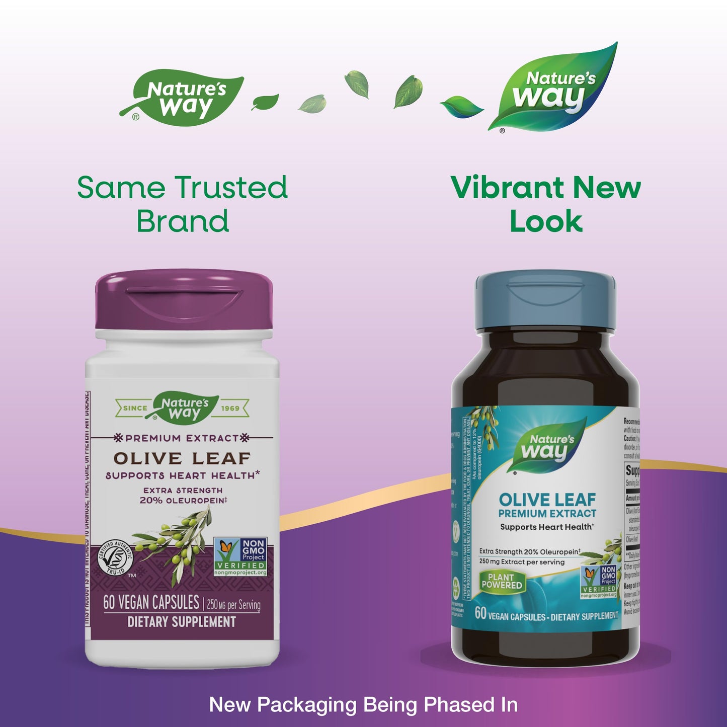 Nature's Way Olive Leaf Premium Extract Capsules 60