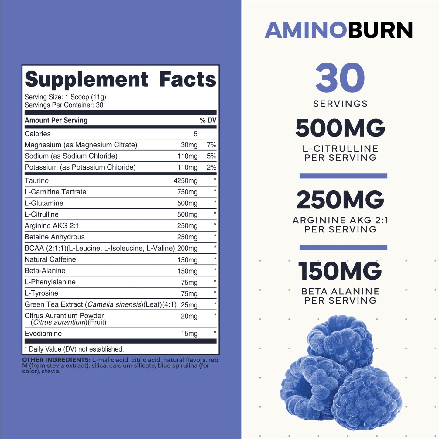 Type Zero Amino Burn Powder 11.5 oz