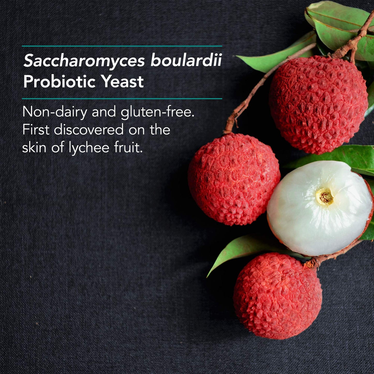 Nutricology Saccharomyces Boulardii Probiotic Capsule 60 Count
