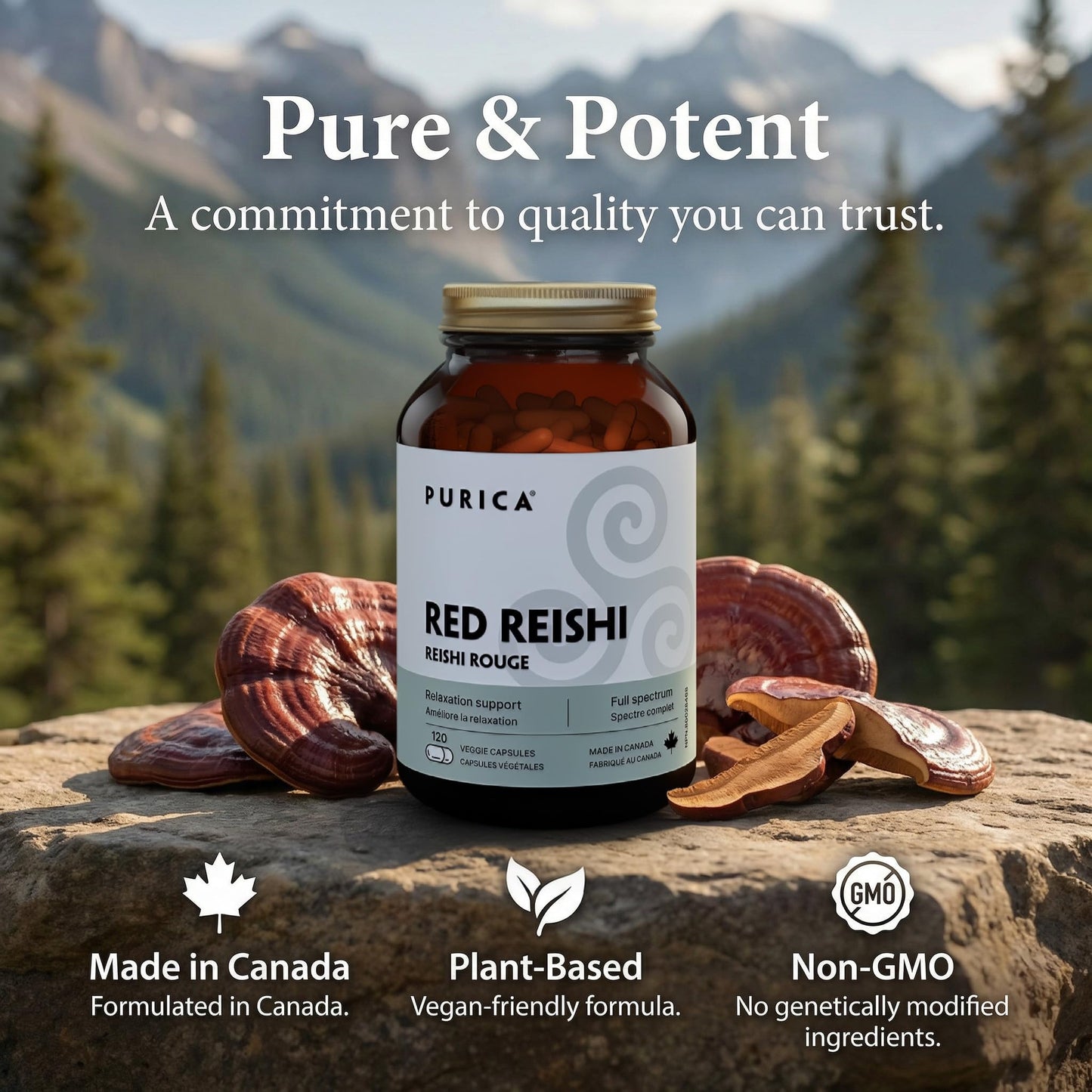 PURICA Red Reishi Capsules 1 Count