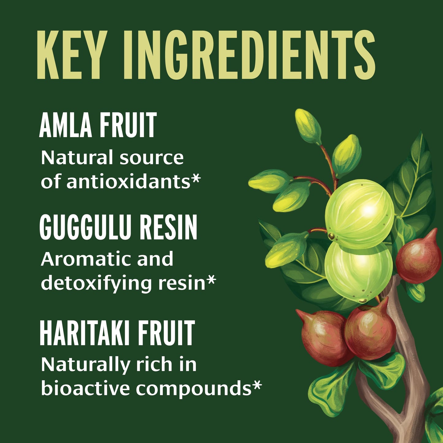 Banyan Botanicals Organic Triphala Guggulu Tablets, 90 Count