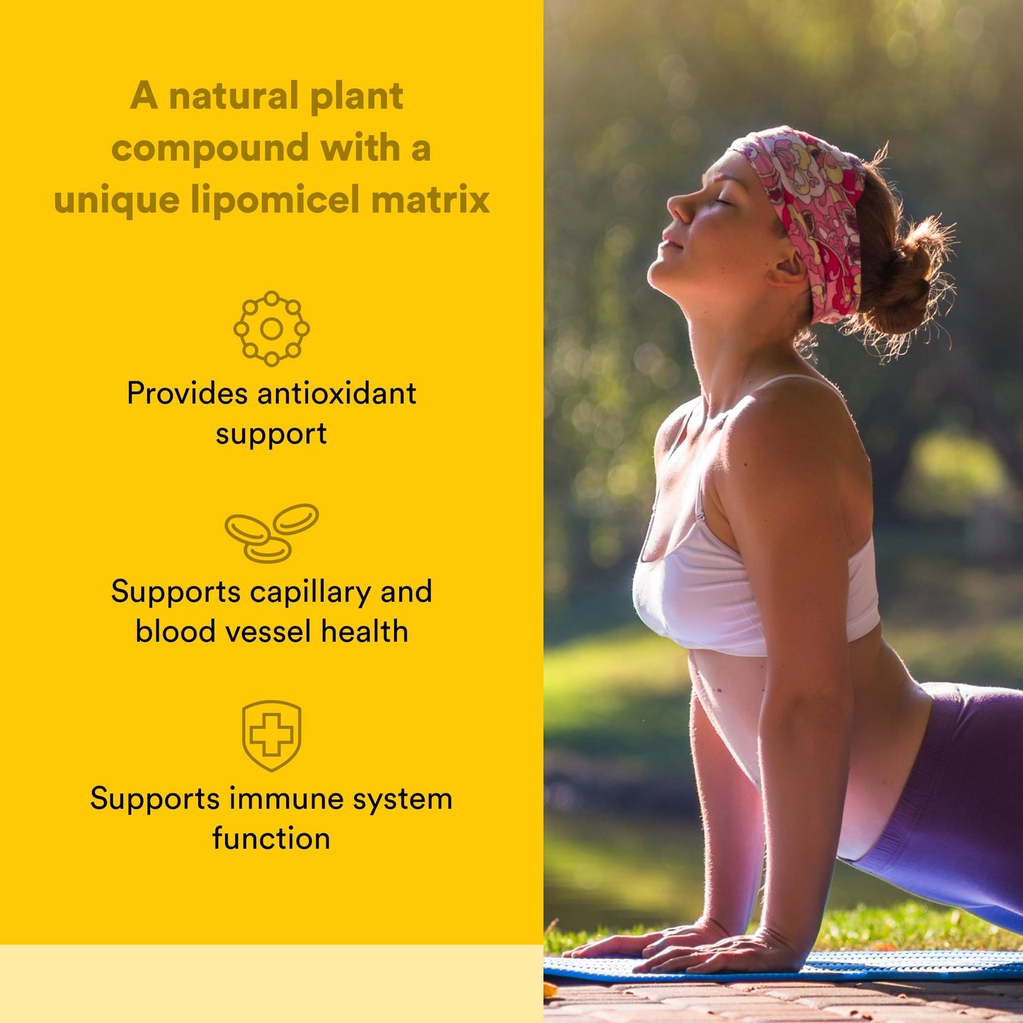 Natural Factors Quercetin LipoMicel Matrix Softgels 120 Count