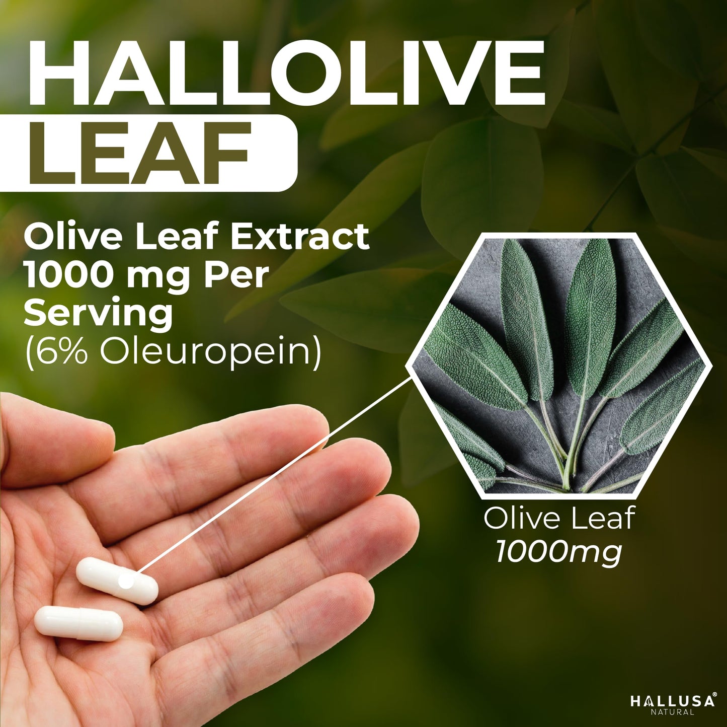 Hallusa Natural Olive Leaf Supplement Capsules 60 Capsules