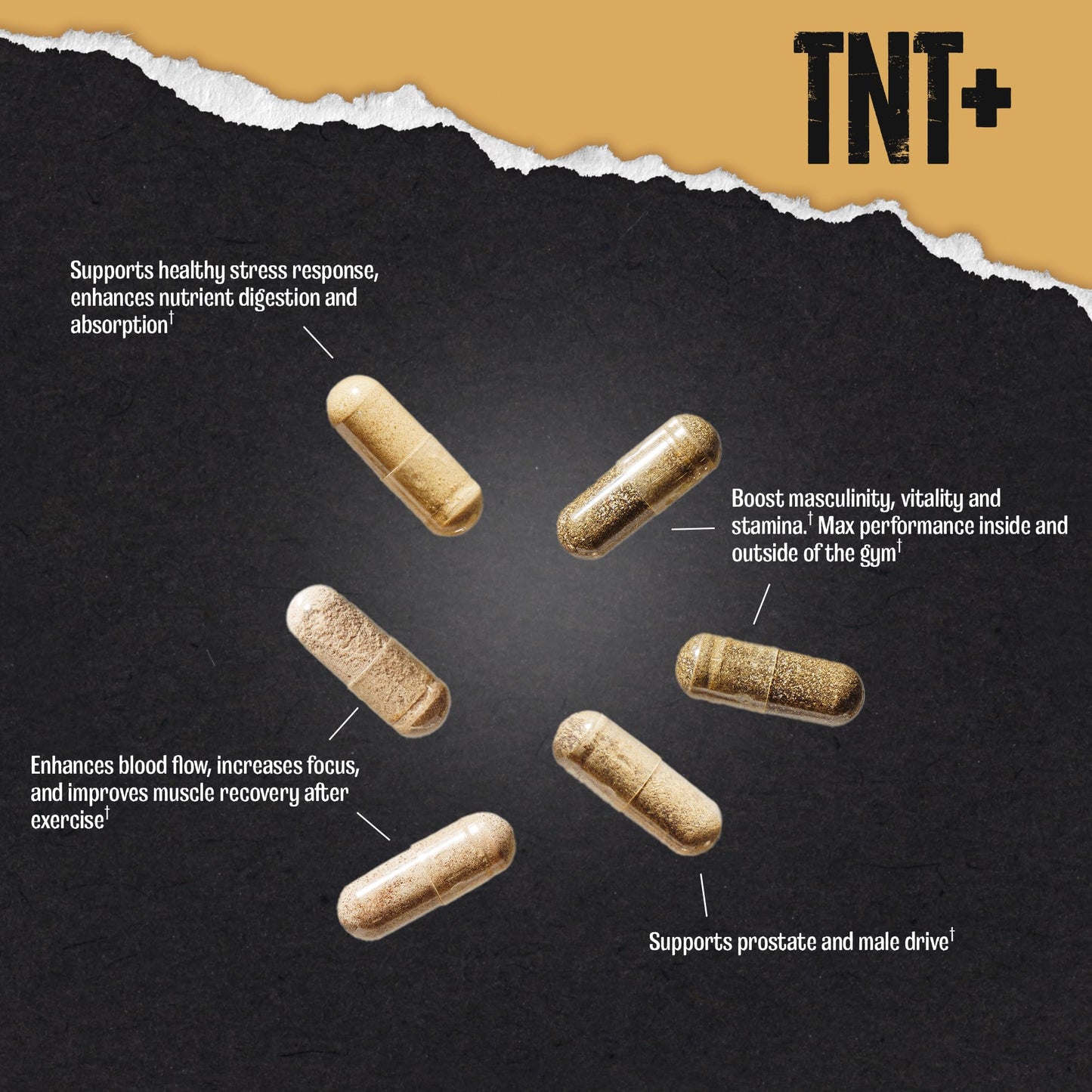 Animal TNT+ Men's Whole-Body Wellness Pack 30 Capsules