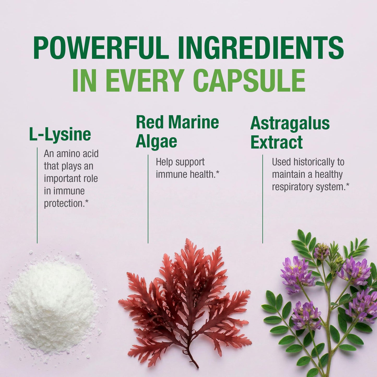 Bell Virux L-Lysine & Red Marine Algae Immune Support Capsule 60 Count
