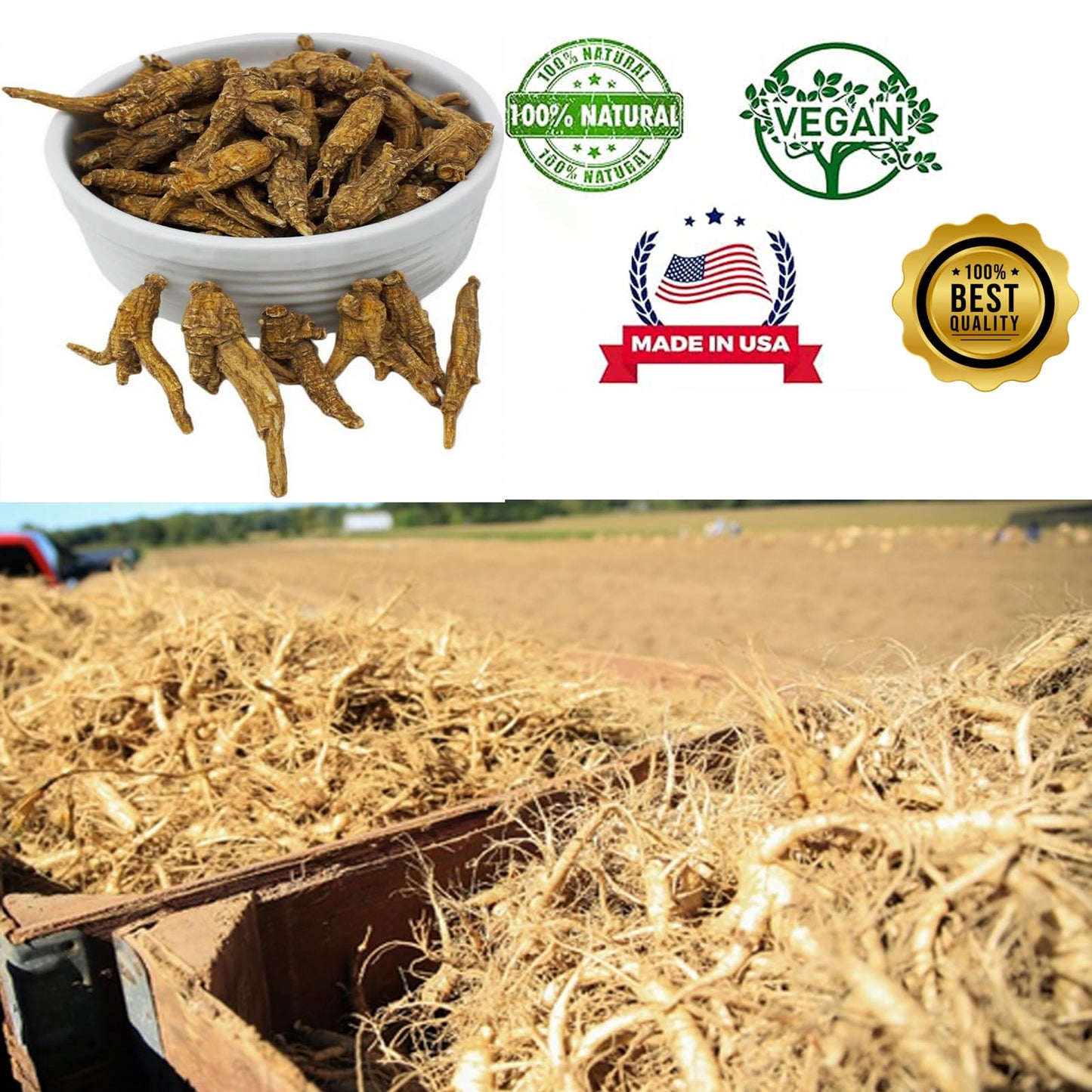 DABC OAK LAND Wisconsin American Ginseng 8 Tablets
