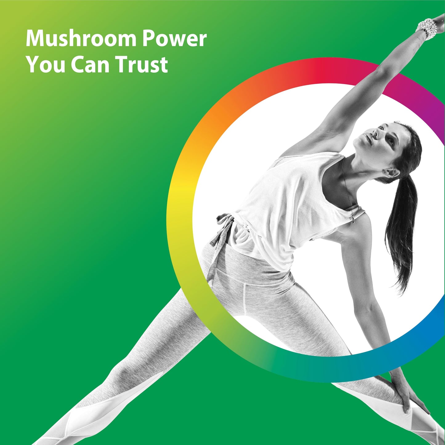 Rainbow Light Mushroom Complex Supplement Capsule 60 Count