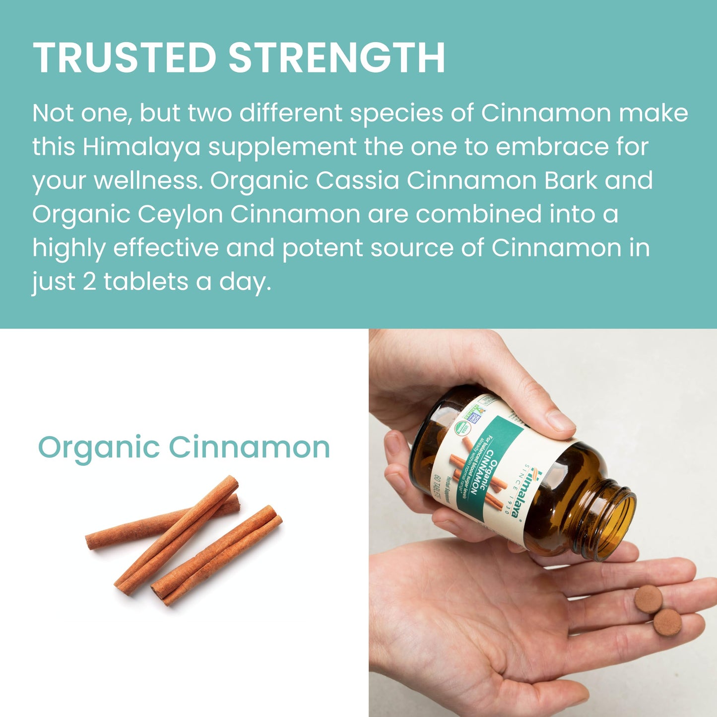 Himalaya Organic Cinnamon Tablets 60 Tablets