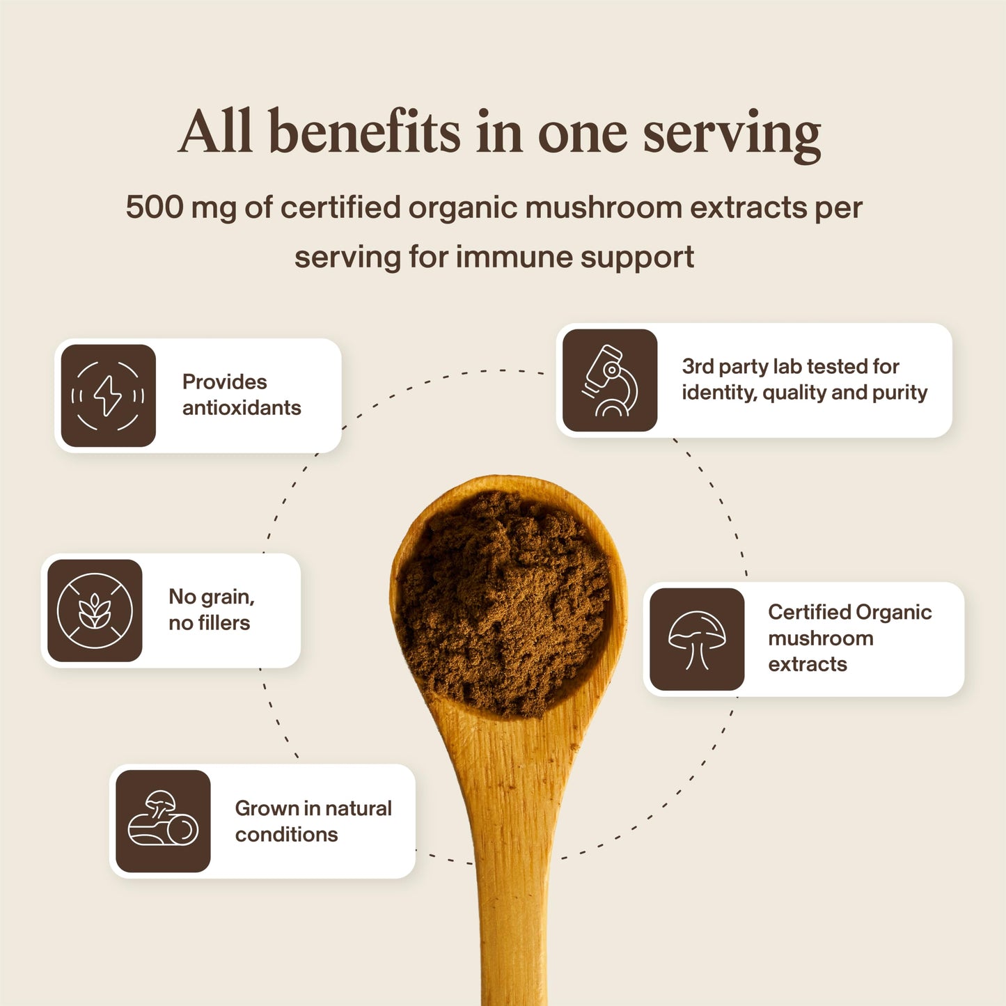 Real Mushrooms Unsweetened Hot Chocolate Mix with 5 Defenders Powder 8.46 Ounce