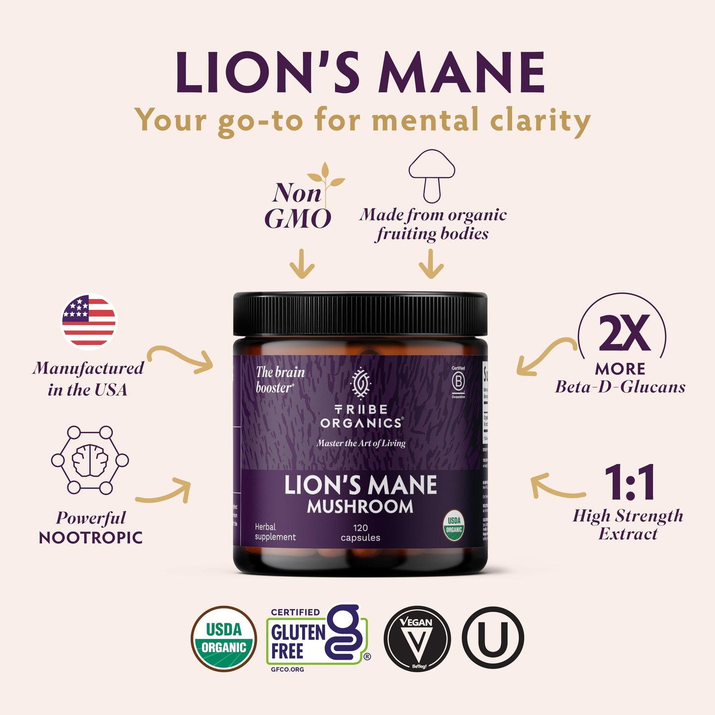 TRIBE ORGANICS Lion’s Mane Supplement 1000mg Mushroom Extract Powder, 120 Capsules