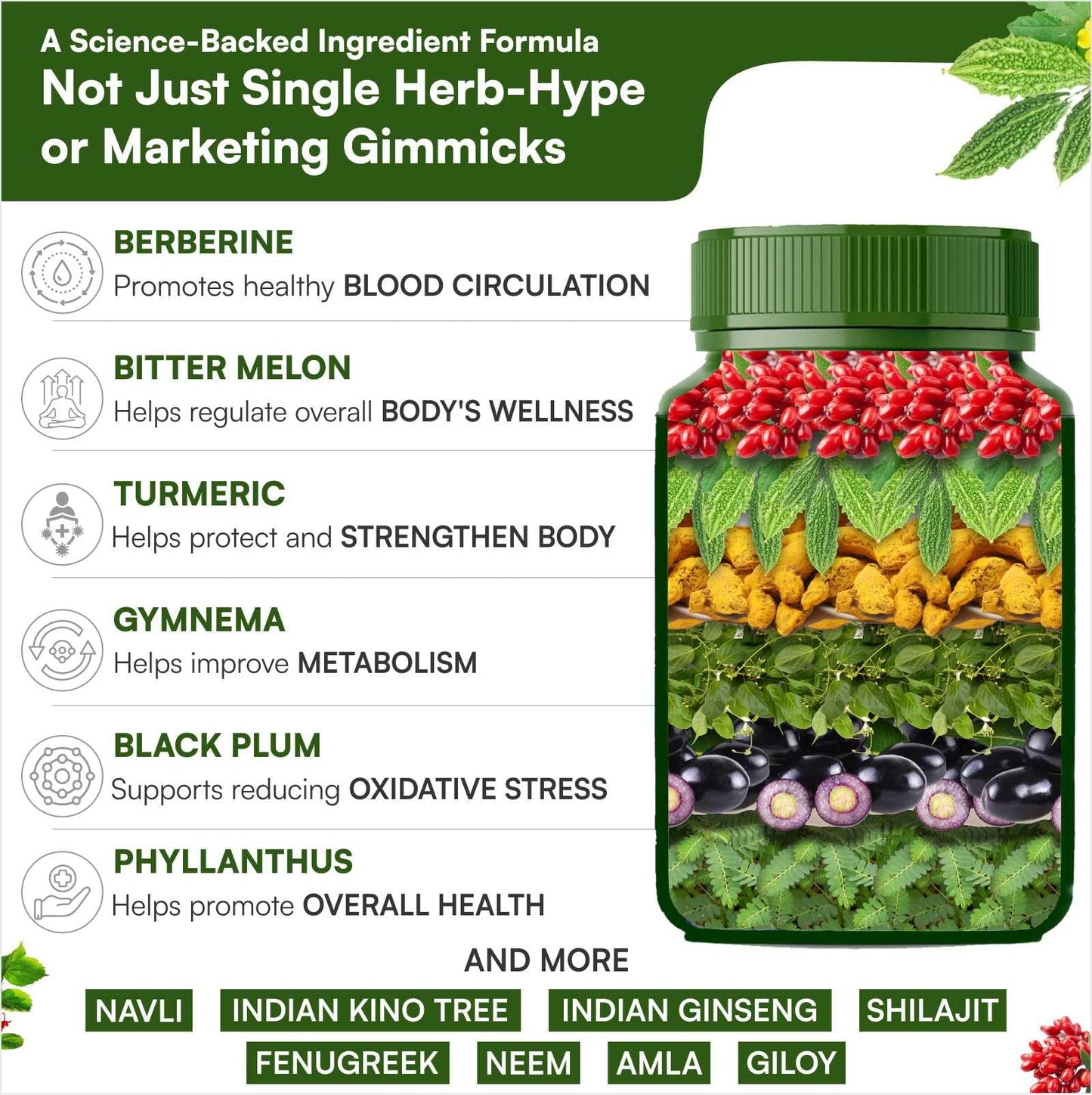 SHREE DHANWANTRI HERBALS D4 Manic Powerful Mix of Berberis, Bitter Melon, Gymnema & More Capsule 1 Count