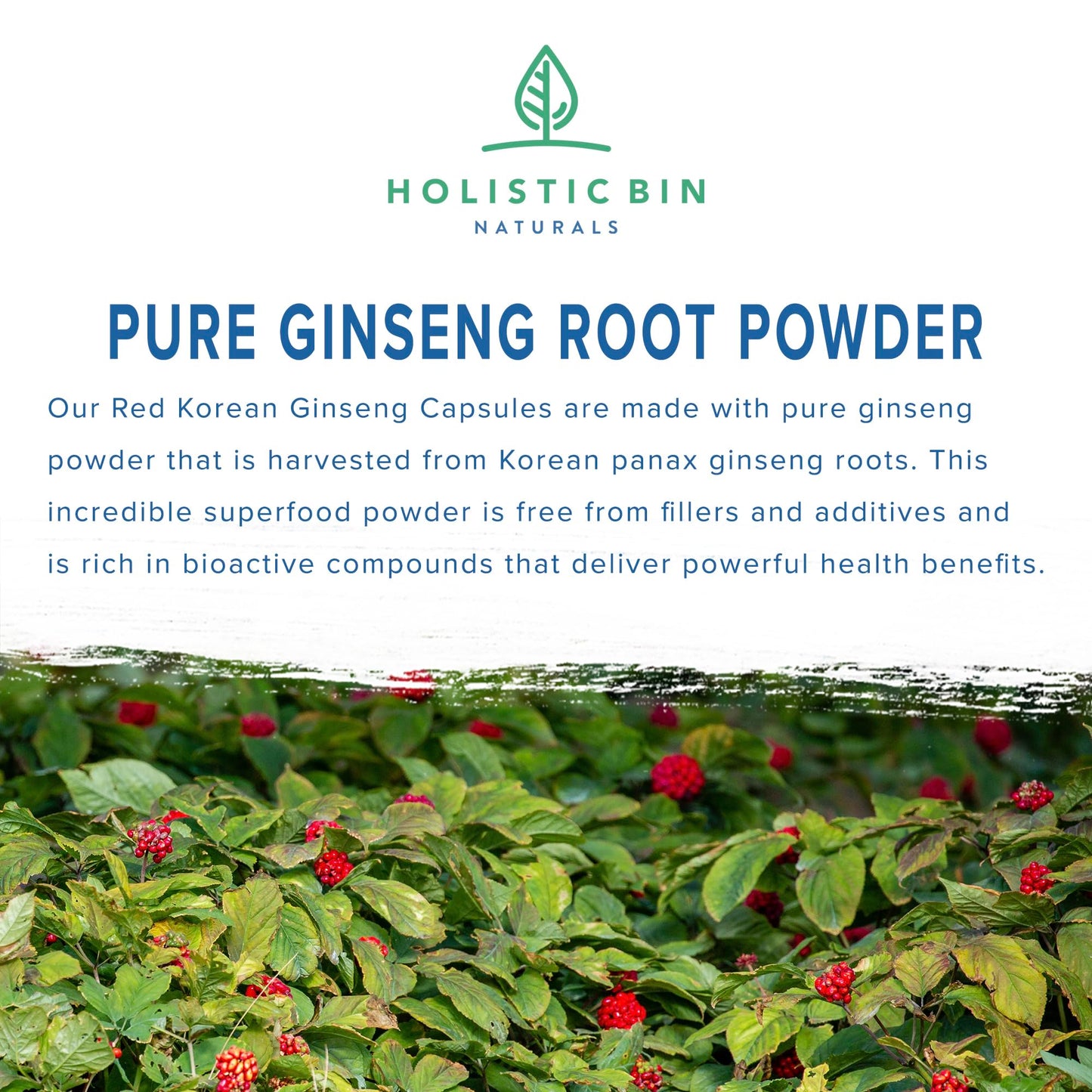 Holistic Bin Korean Red Ginseng Capsule, 40 Count