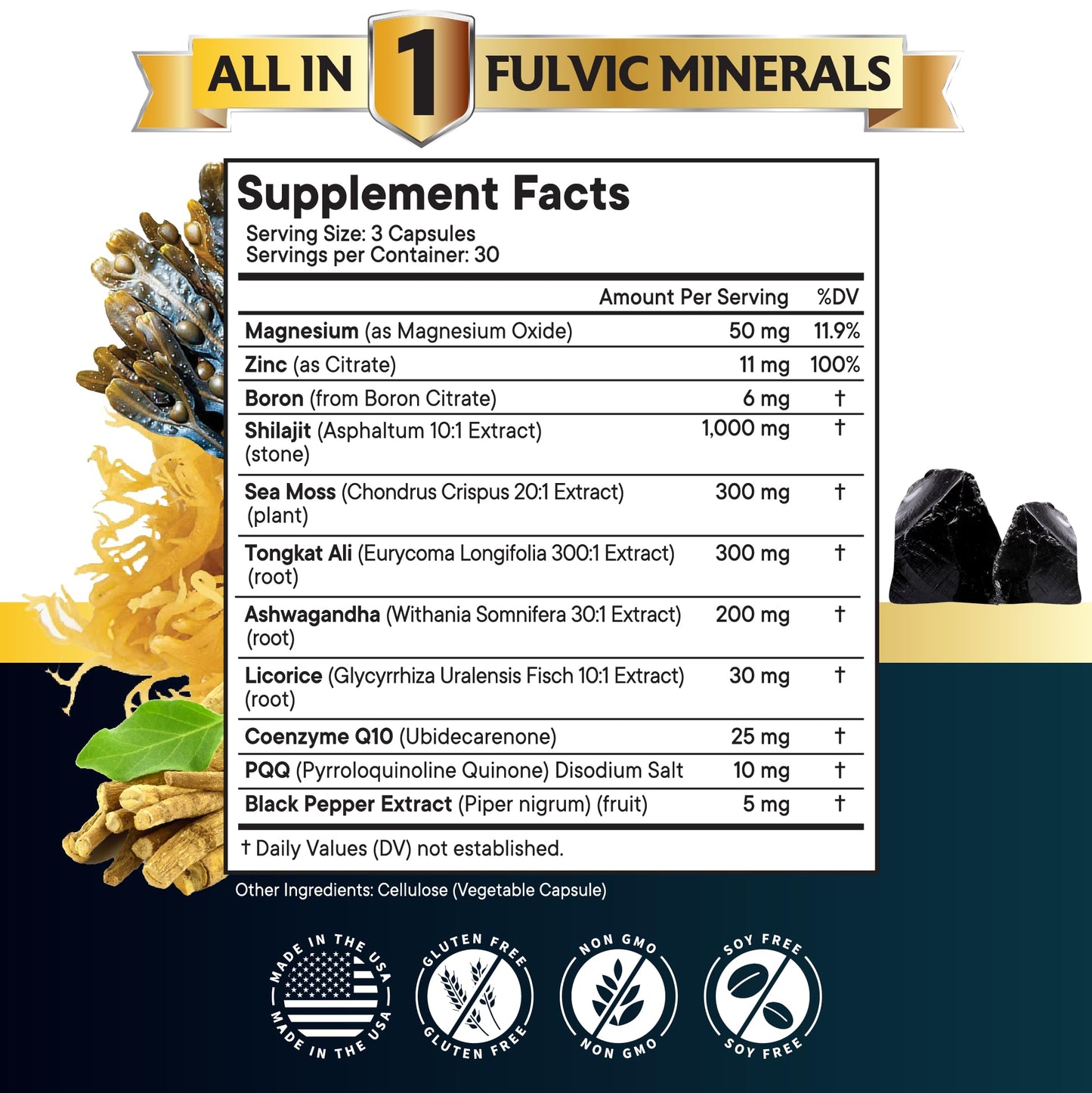 NEW AGE Shilajit Supplement with Sea Moss, Ashwagandha, Tongkat Ali, Boron, Magnesium - Fulvic Acid Capsules for Men, 90 Count