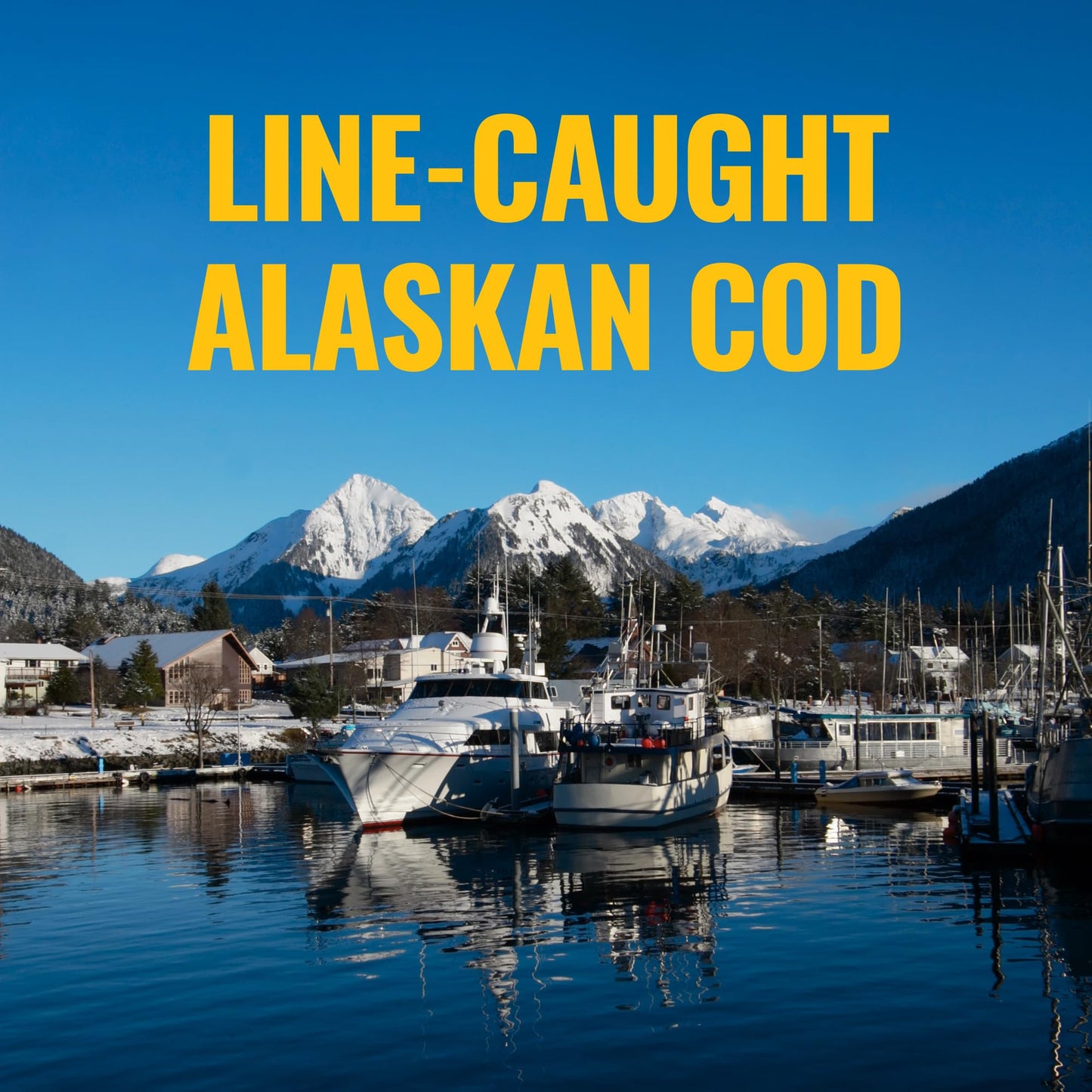 On Target Living Alaskan Cod Liver Oil Softgels 120
