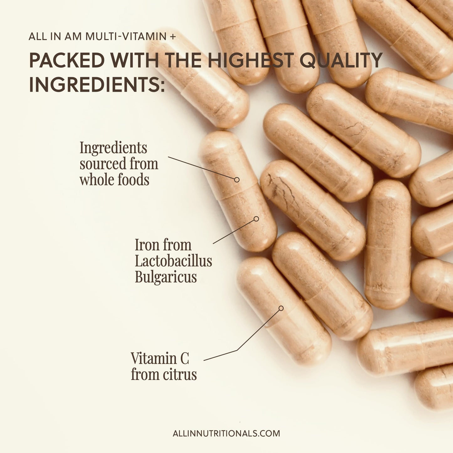 All In Nutritionals AM Multi-Vitamin + Capsule 60 Count