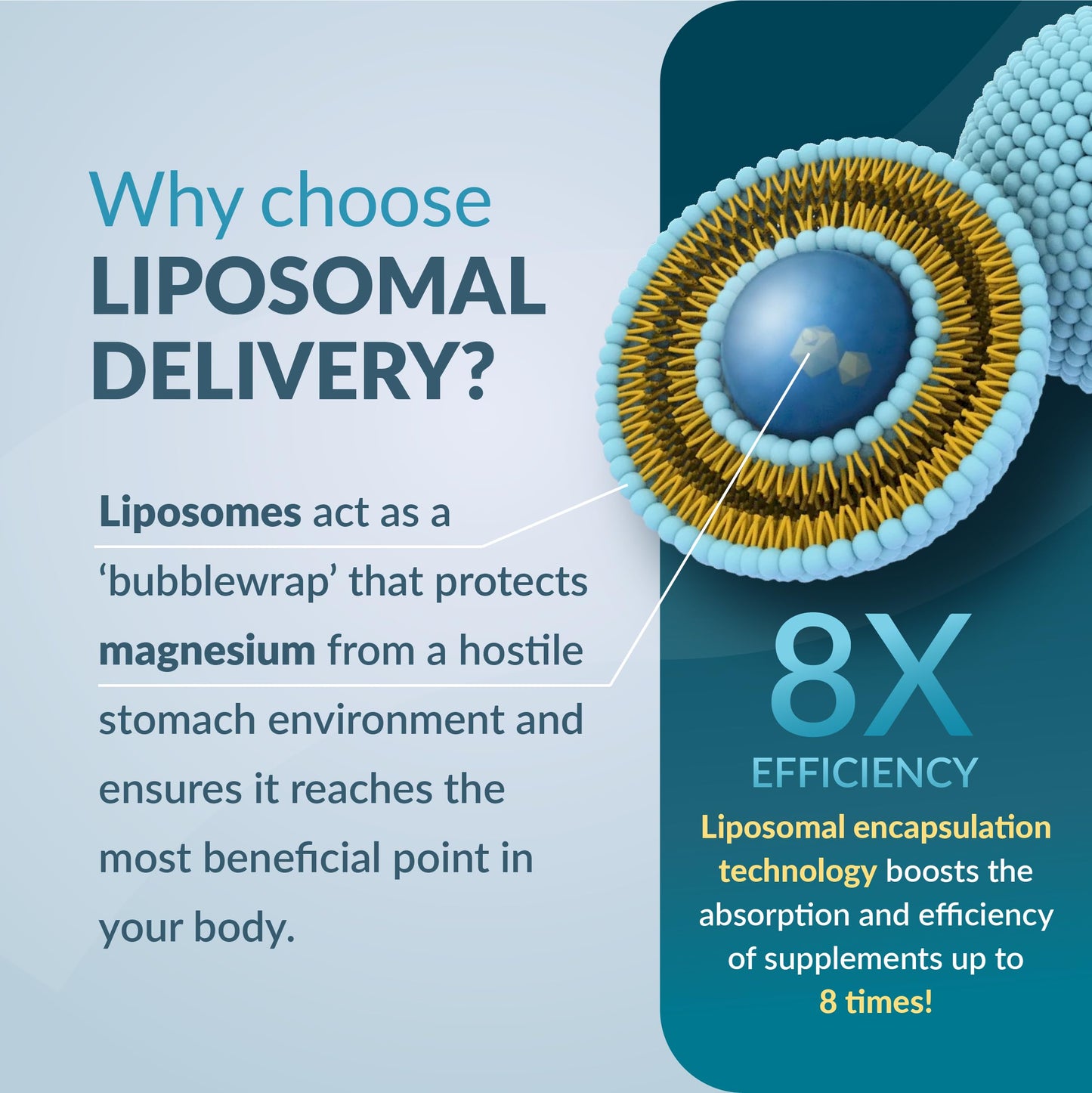 Ecosh Liposomal Magnesium Citrate Capsules 90 Count