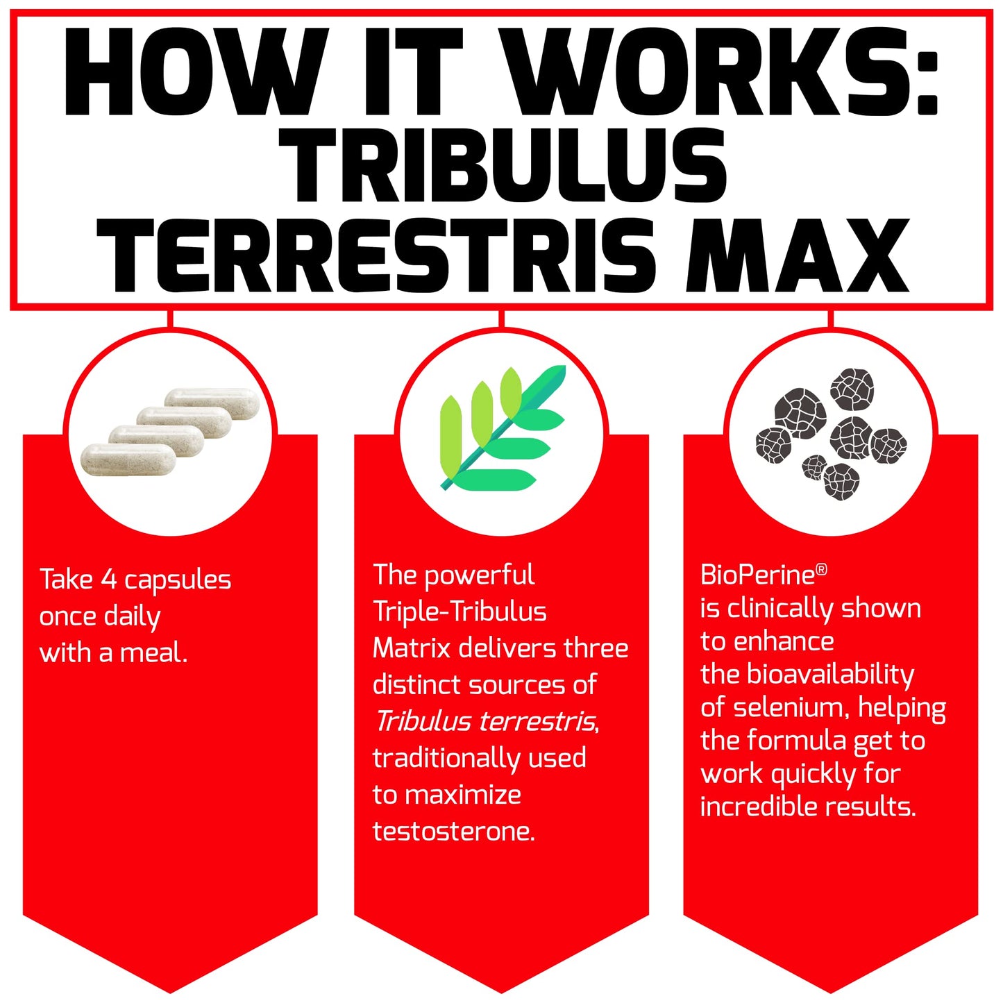 Force Factor Tribulus Terrestris Max for Men 120 Capsules