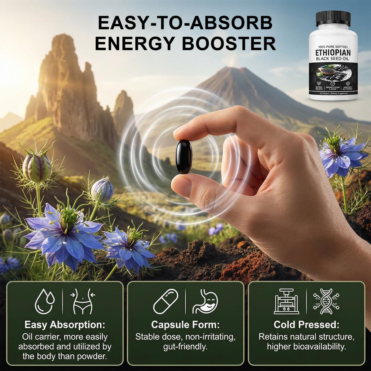 HIDLY Black Seed Oil Capsule 60 Count