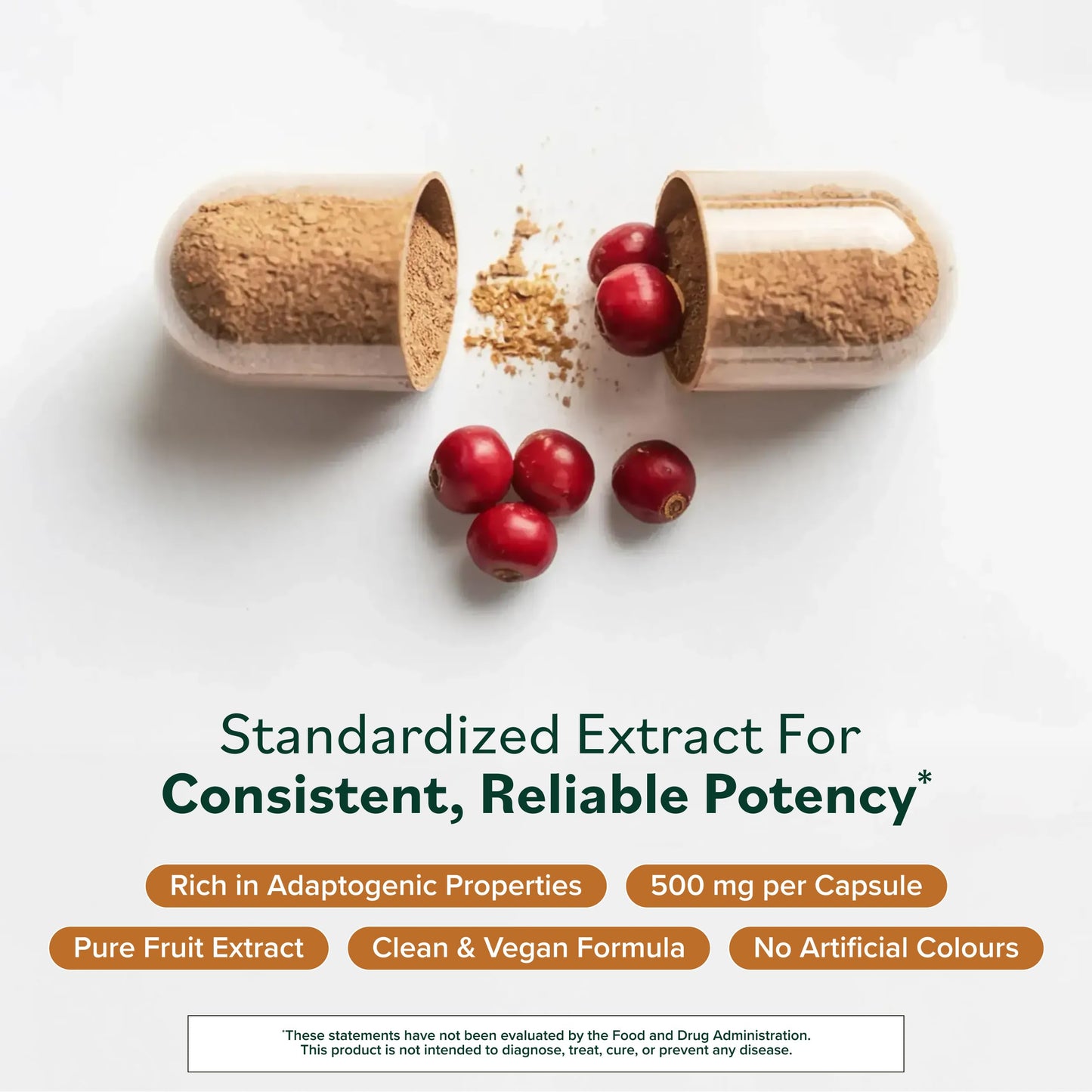 Prominent Nutrition Schisandra - Supplement for Liver & Stress Support Capsules, 120 Capsules