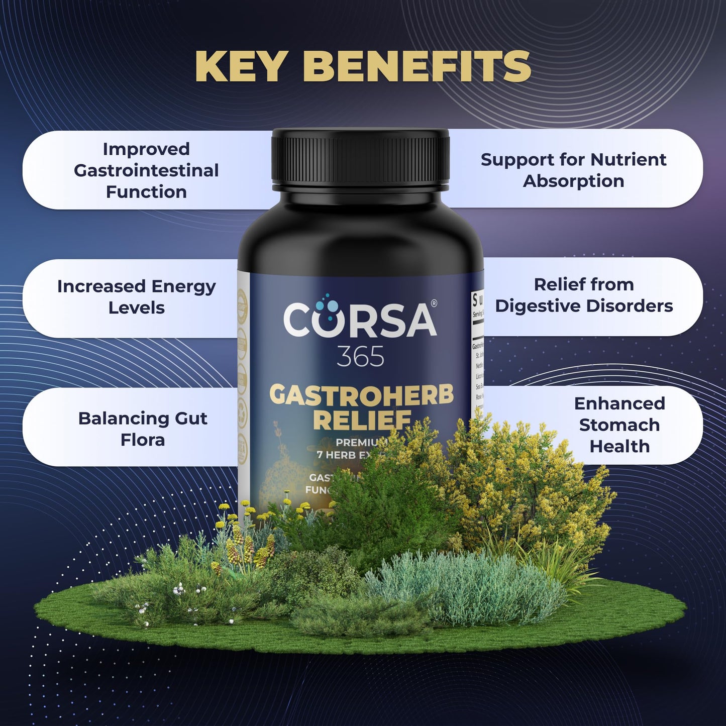 CORSA365 Gastroherb Relief 7 Herbs Extract Softgels 90