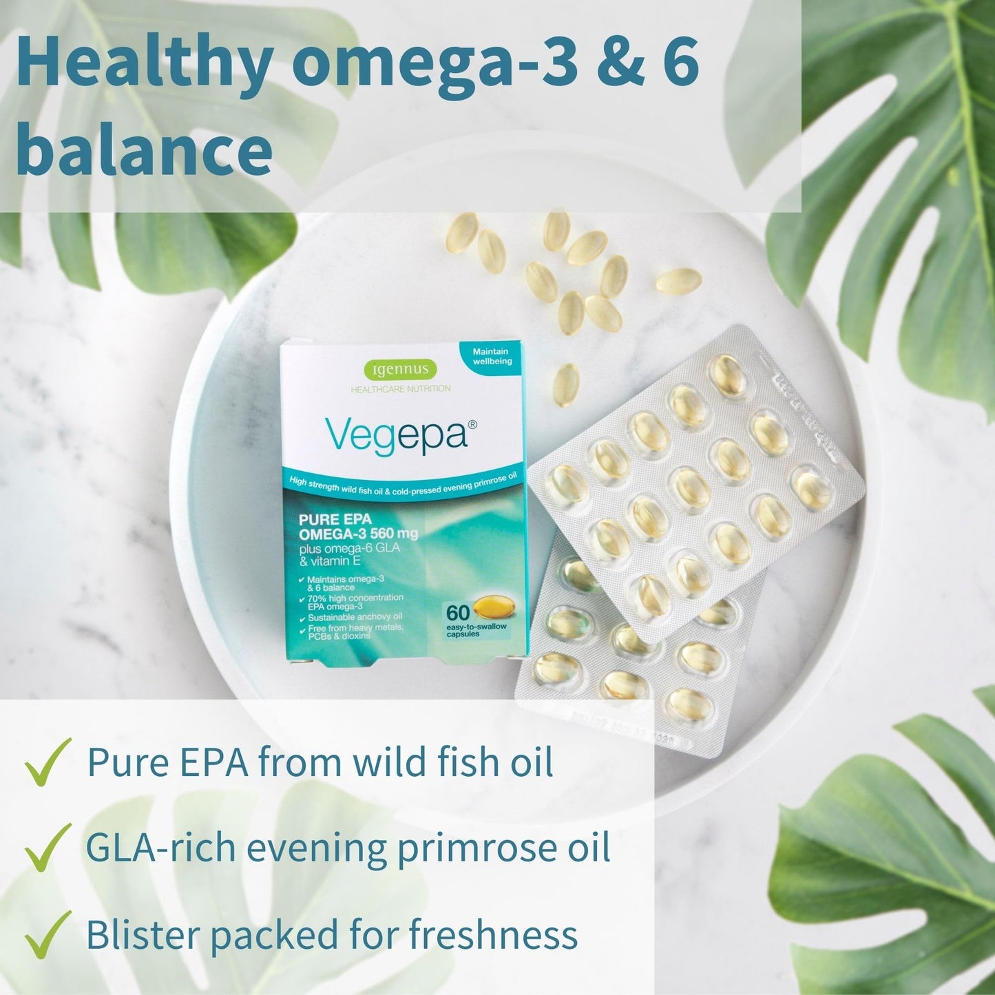 Igennus Healthcare Nutrition Vegepa Omega 3 Wild Fish Oil & Evening Primrose Oil Blend 60 Softgels