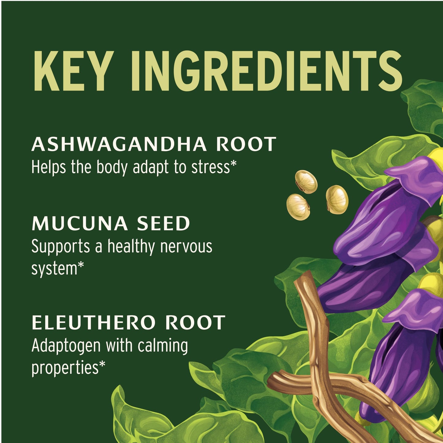 Banyan Botanicals Organic Adrenal Nourish Tablet 90 Tablets