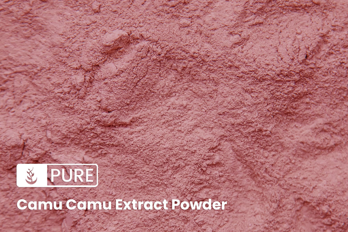 PURE ORIGINAL INGREDIENTS Camu Camu Vitamin C Powder 16 oz