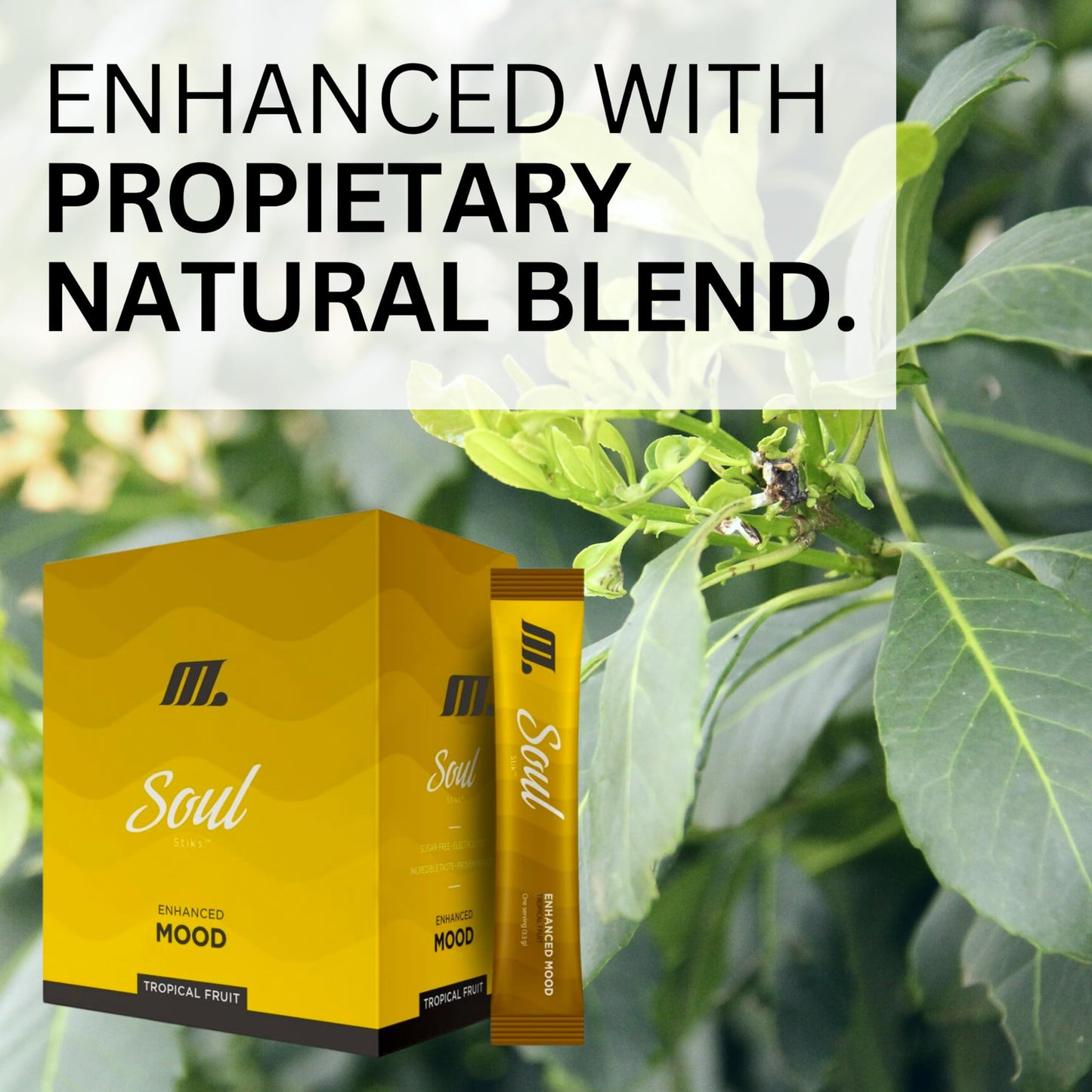 Youngevity Soul Mood Enhancer Herbal Powder Tropical Fruit, 2.86 oz