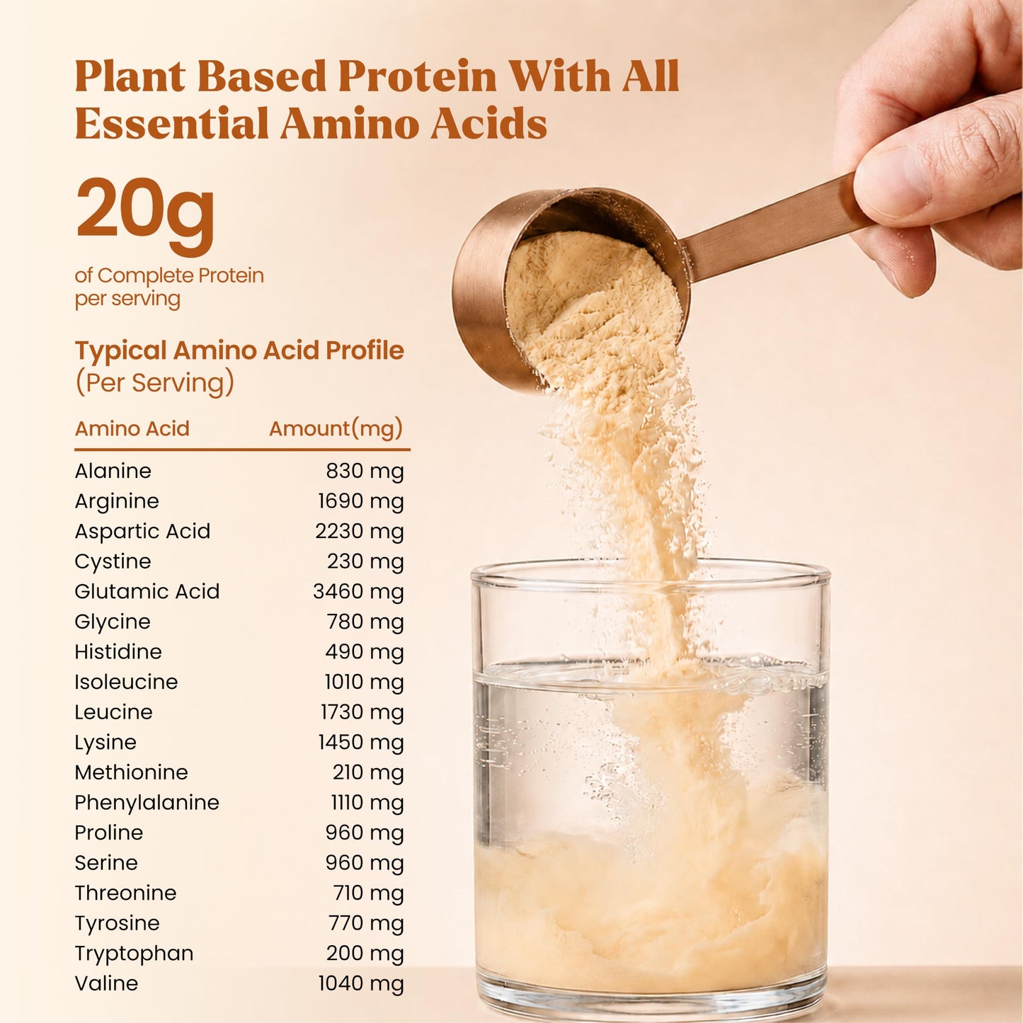 Elements Peanut Butter Plant Protein Powder, 20 Servings