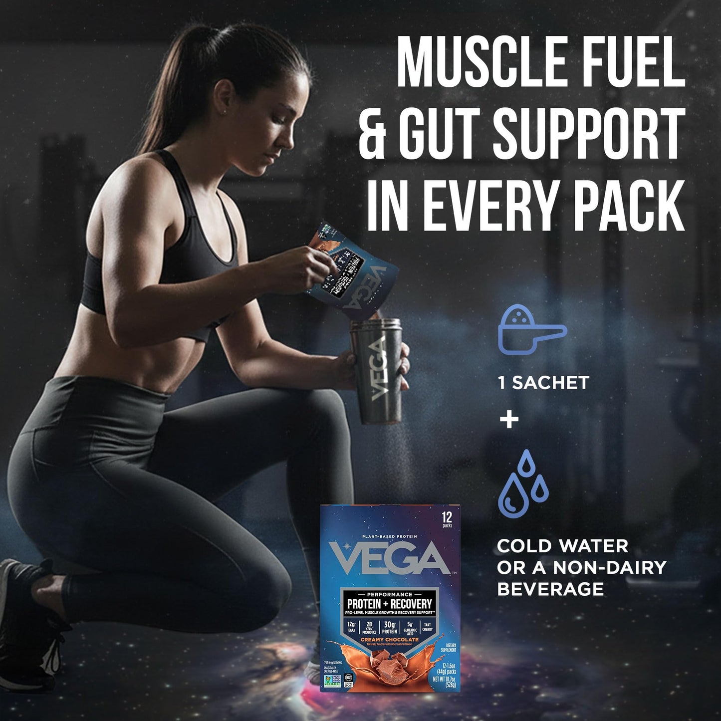 Vega Protein + Recovery Chocolate Packets, 12 Packets