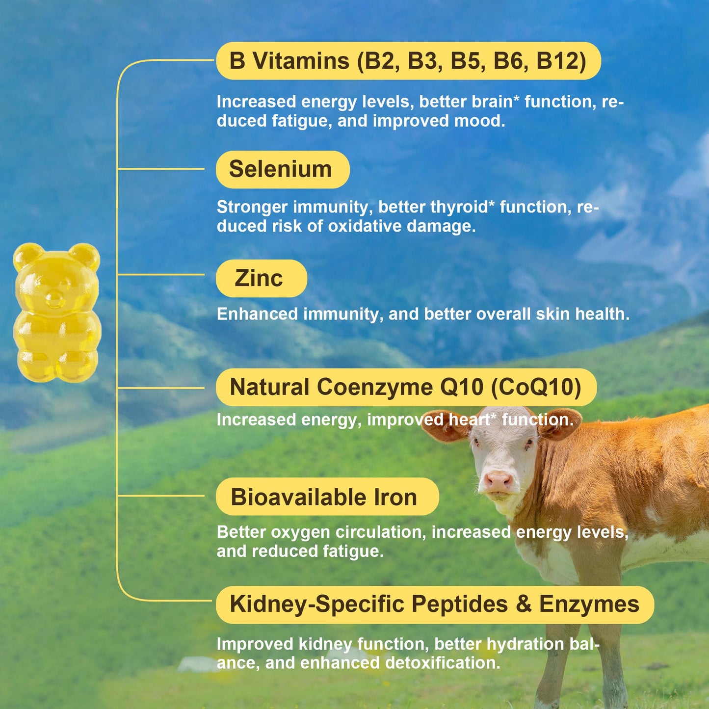 Well&Whole Grass Fed Beef Kidney Gummies DAO Enzyme & Histamine Balance Support Supplement, Gummy, 60 Count