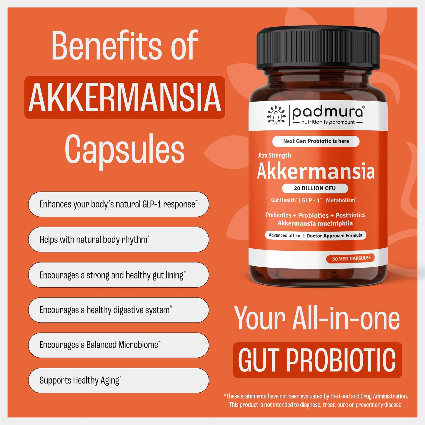 PADMURA Akkermansia Muciniphila Probiotic Supplement Capsule 30 Count
