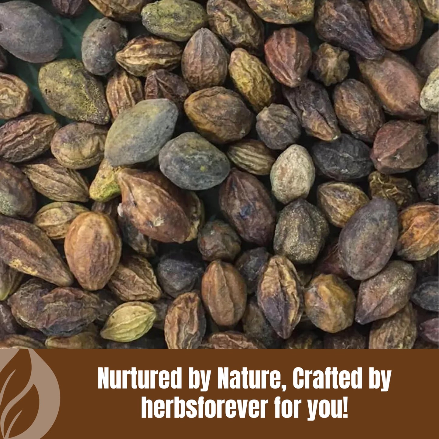 Herbsforever Haritaki Powder 16 Ounce