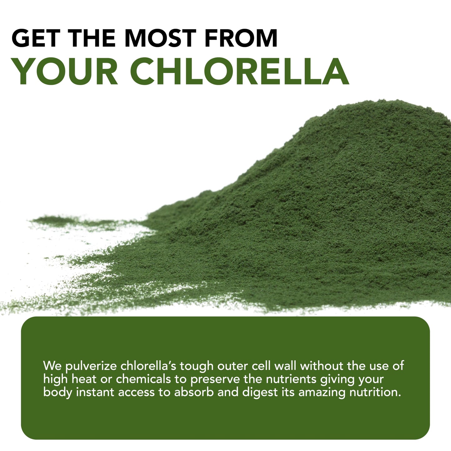 Sun Chlorella Powder 3g Single-Serve Packets, B12-Vitamin D Support, 10 Count
