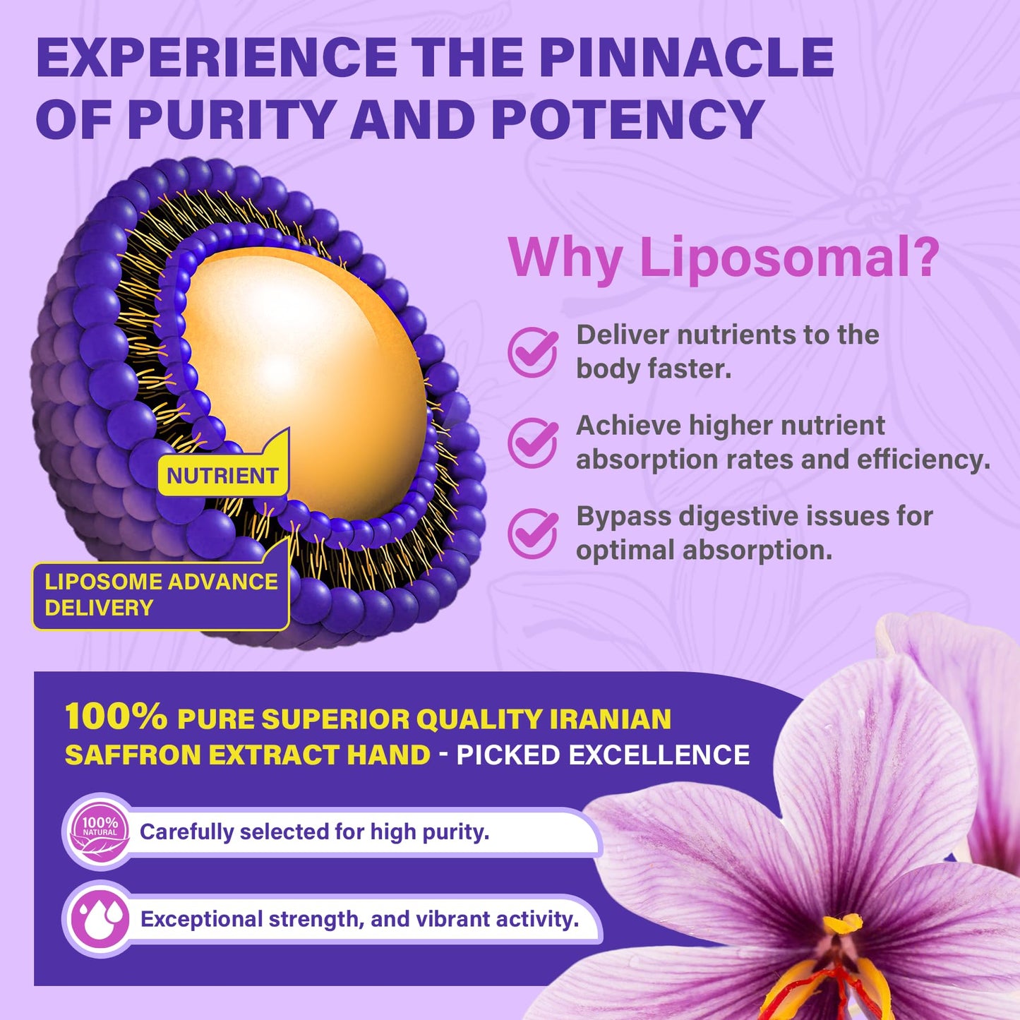 Nextdia Saffron Supplements 100mg Liposomal High Absorption 100% Pure Saffron Extract with Magnesium Glycinate, Omega-3, Turmeric, Ashwagandha, Vitamin B6, B12, D3 for Mood, Brain, 60 Softgels
