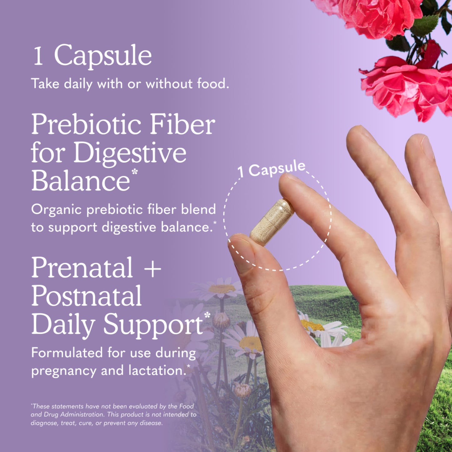 Garden of Life Dr. Formulated Probiotics Once Daily Prenatal - 20 Billion CFU, 30 Capsules