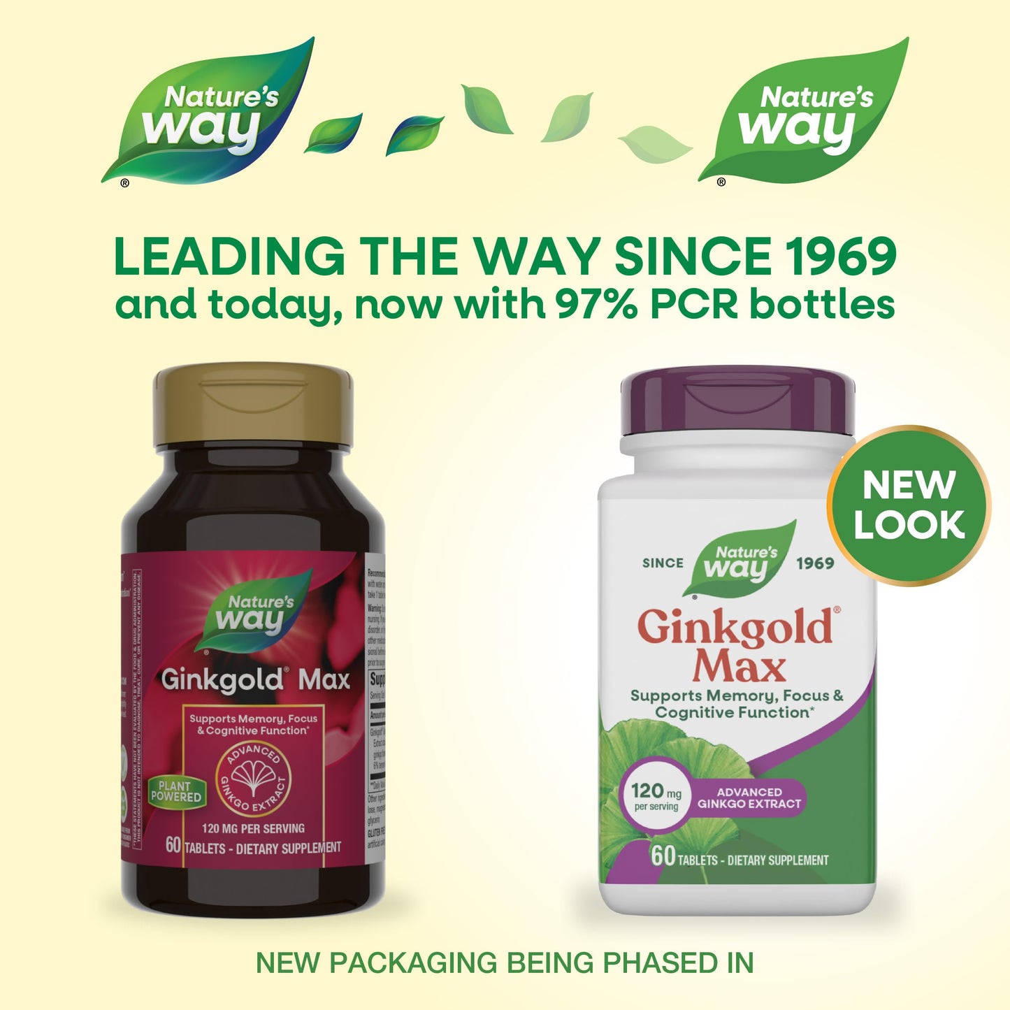 Nature's Way Ginkgold Max Advanced Ginkgo Extract Tablets, 60 Count