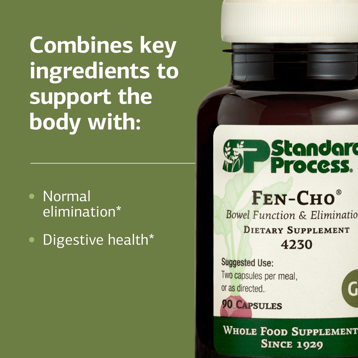 Standard Process Inc. Fen-Cho Digestive & Gut Health Supplement Capsule, 90 Count