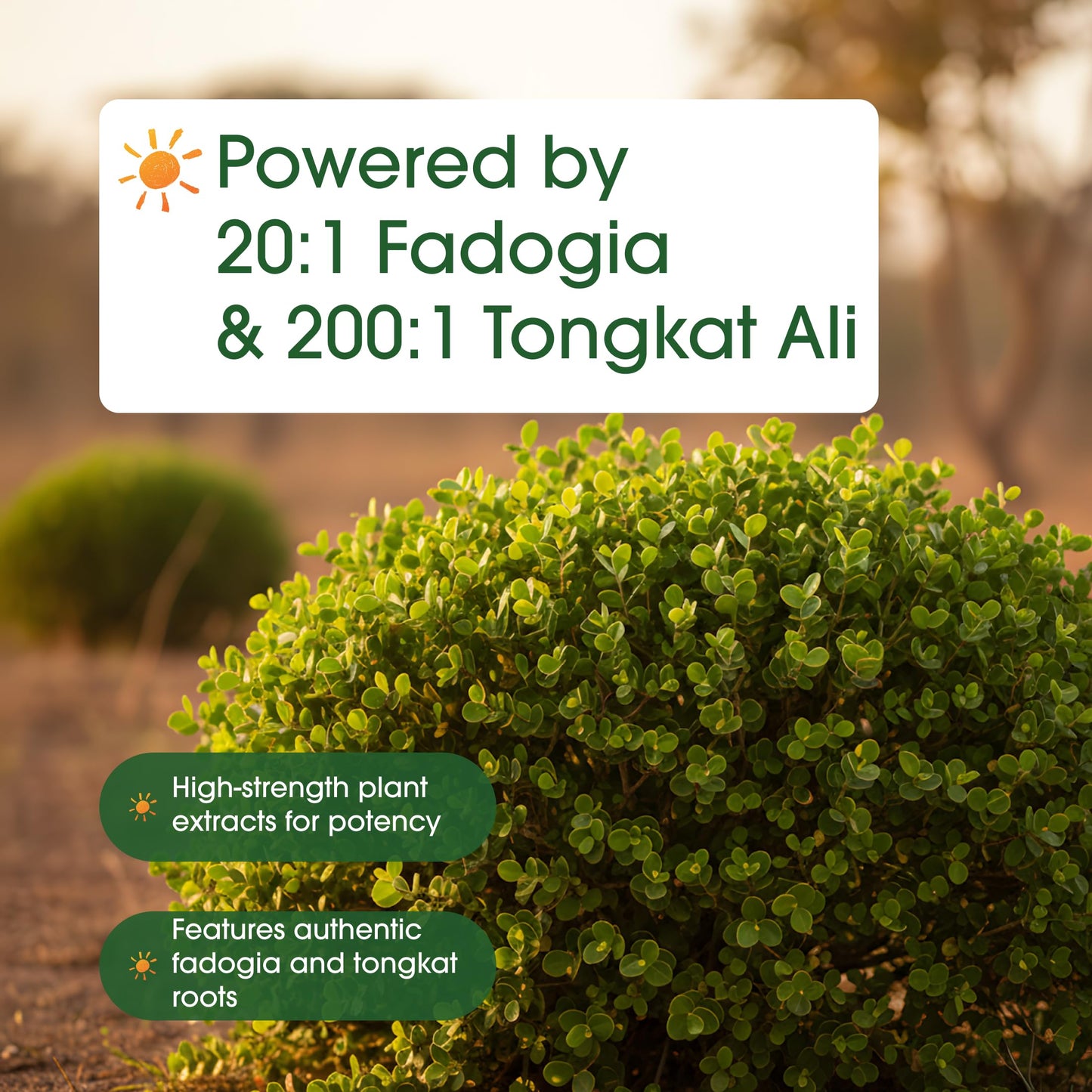 NatureBell Fadogia Agrestis 600mg & Tongkat Ali 400mg Capsules, 240 Count