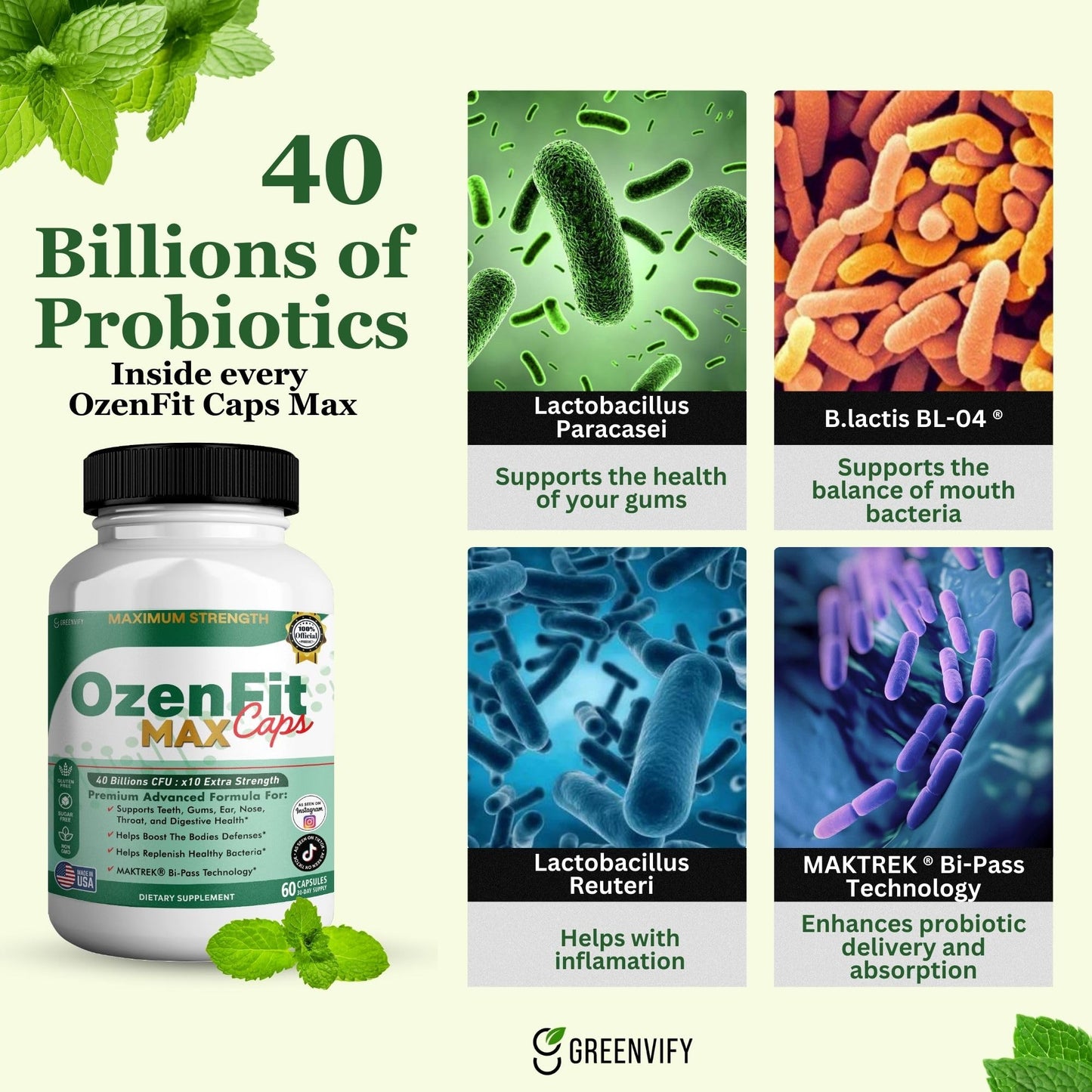 GREENVIFY OzenFit Caps Max Probiotic Supplement Capsule, 60 Capsules