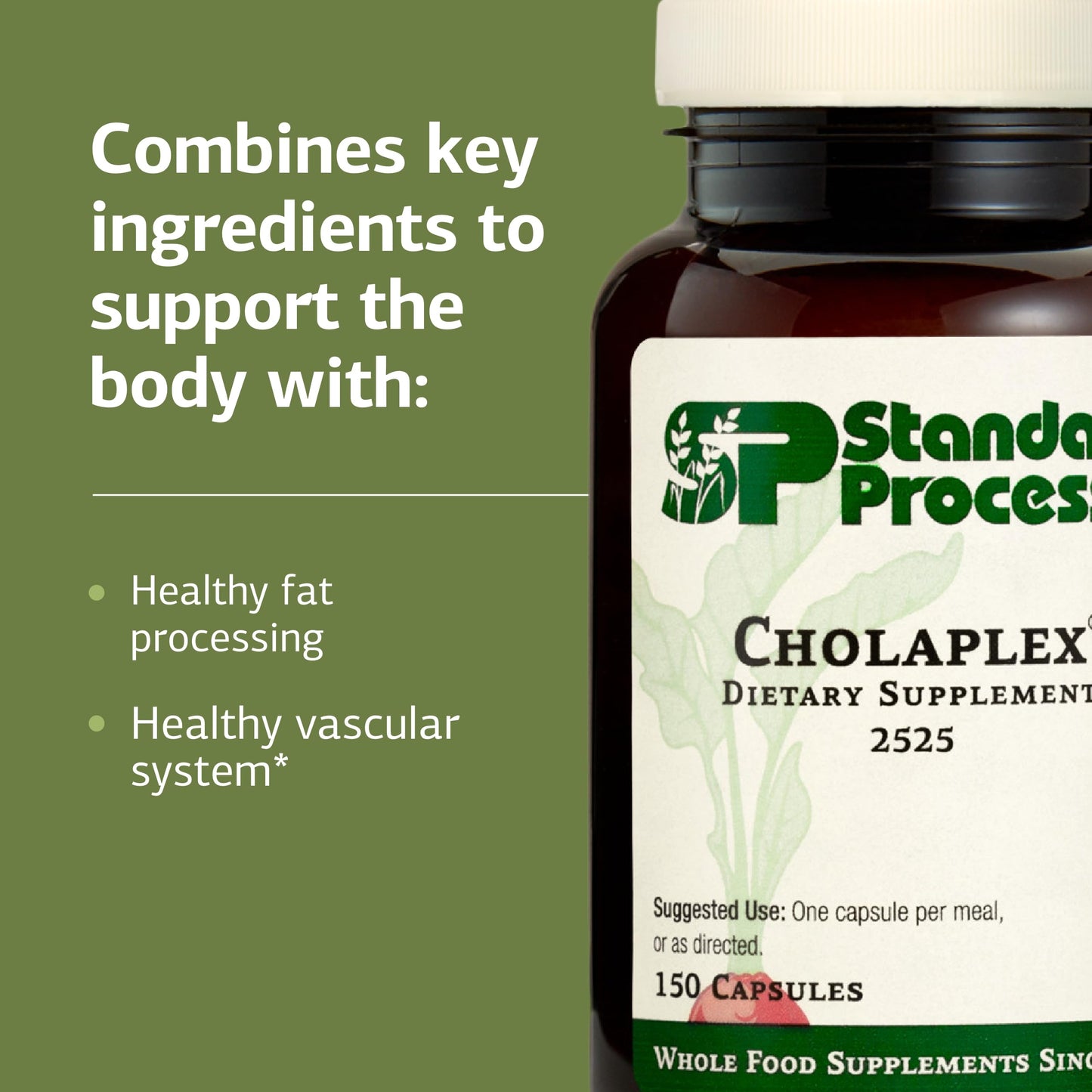 Standard Process Inc. Cholaplex Capsule 150