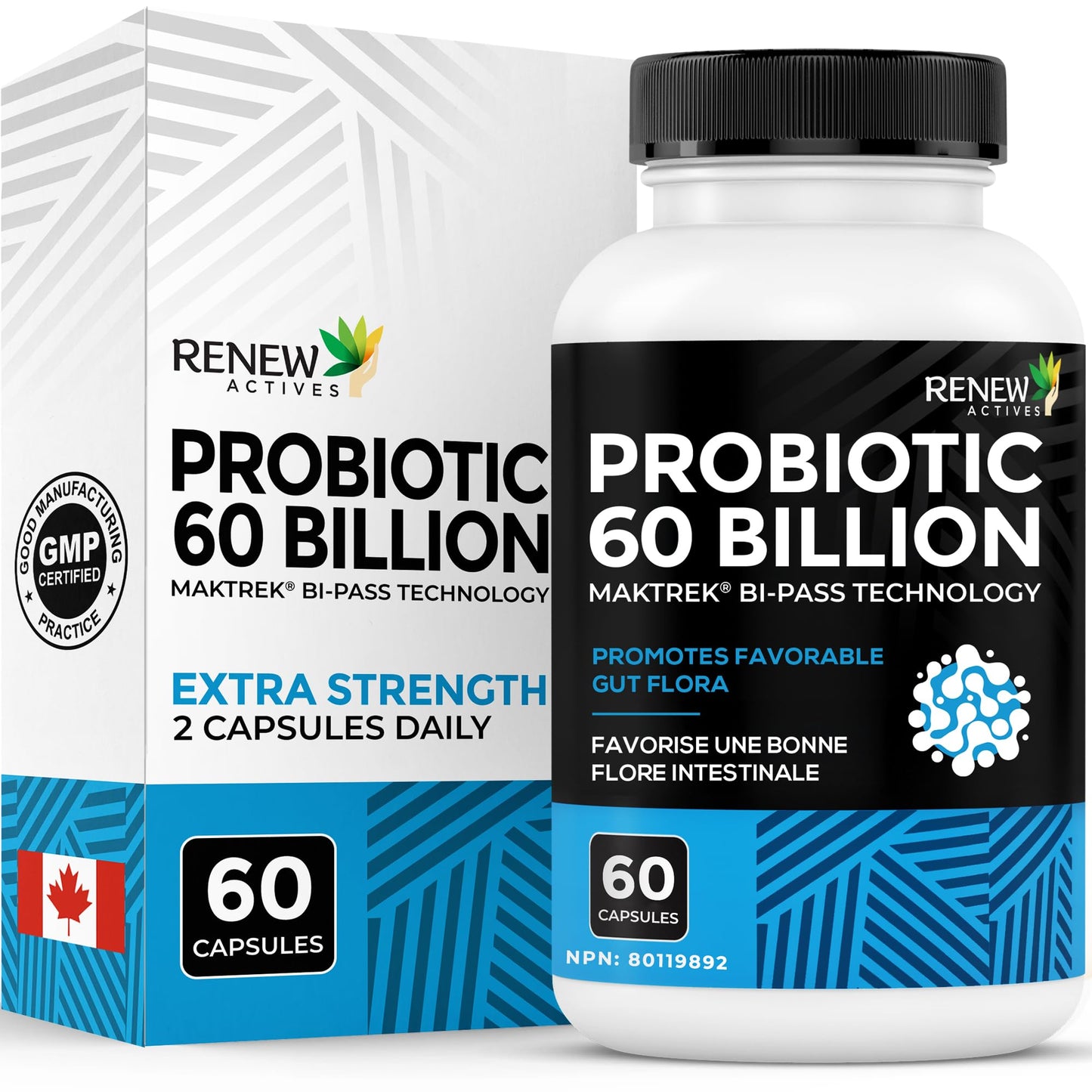 Renew Actives Probiotic Supplement for Digestive Health, 60 Capsules