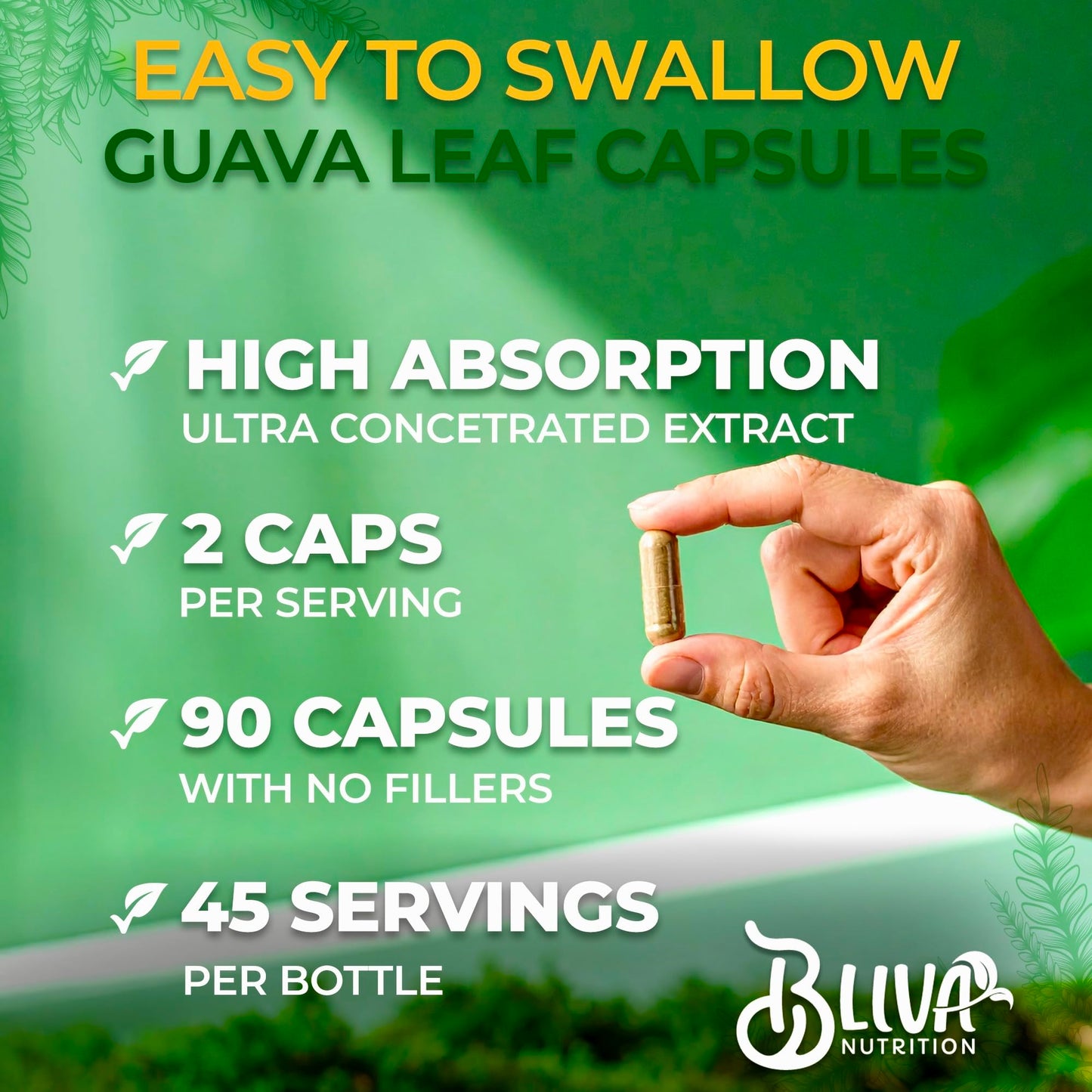 BLIVA NUTRITION Guava Leaf Extract Capsules 90 Capsules