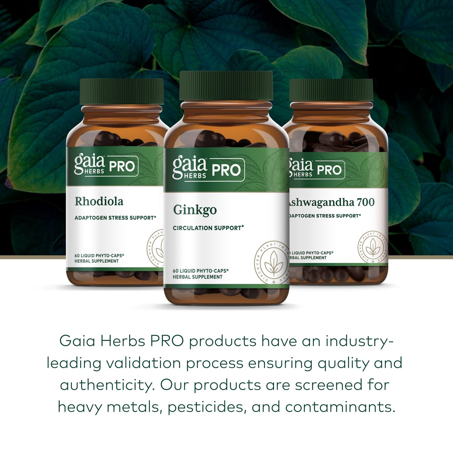 Gaia Herbs PRO Ginkgo Biloba Capsules, 60 Count