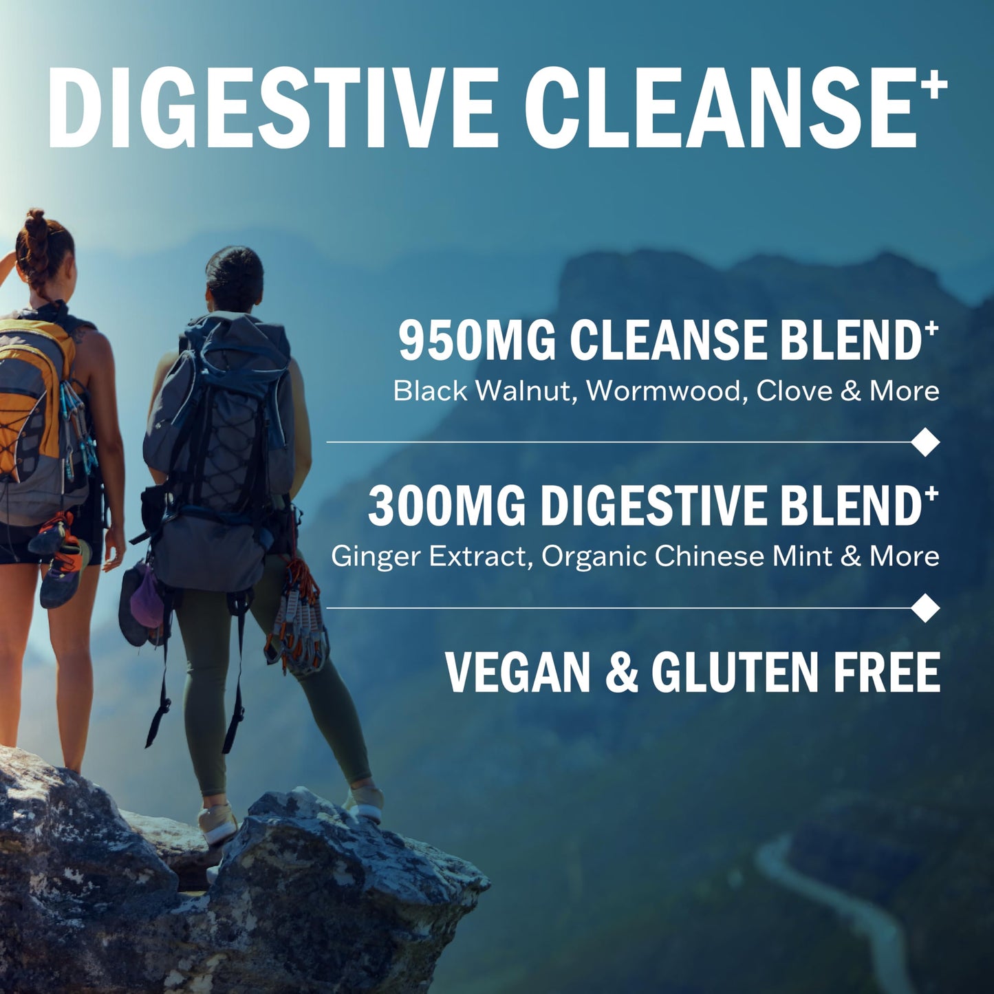 BioSchwartz Wormwood Black Walnut Clove Digestive Cleanse Supplement, 30 Capsules