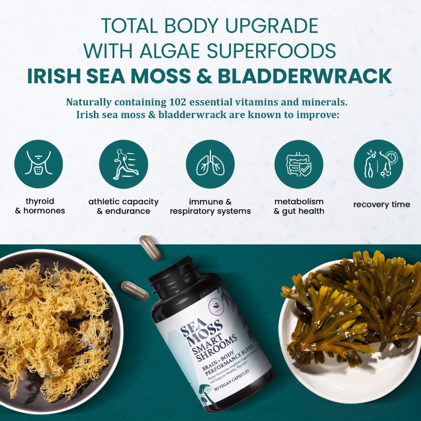 HAPPY FOX Irish Sea Moss Capsules & Mushroom Complex - Organic Seamoss with Adaptogens for Brain Health, 1500mg, 90 Vegan Capsules